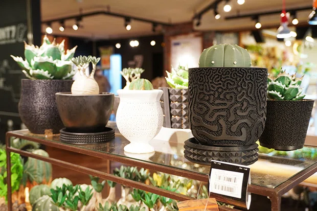 やんす 渋谷 英一 opus amane 植木鉢 2個セット 目指すは聖地！ 東急ハンズ渋谷店が「3Dプリント植木鉢」を売り始めた