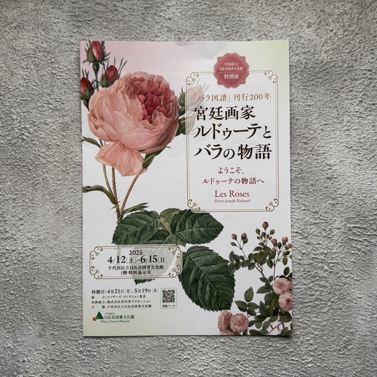 宮廷画家ルドゥーテとバラの物語のパンフレット