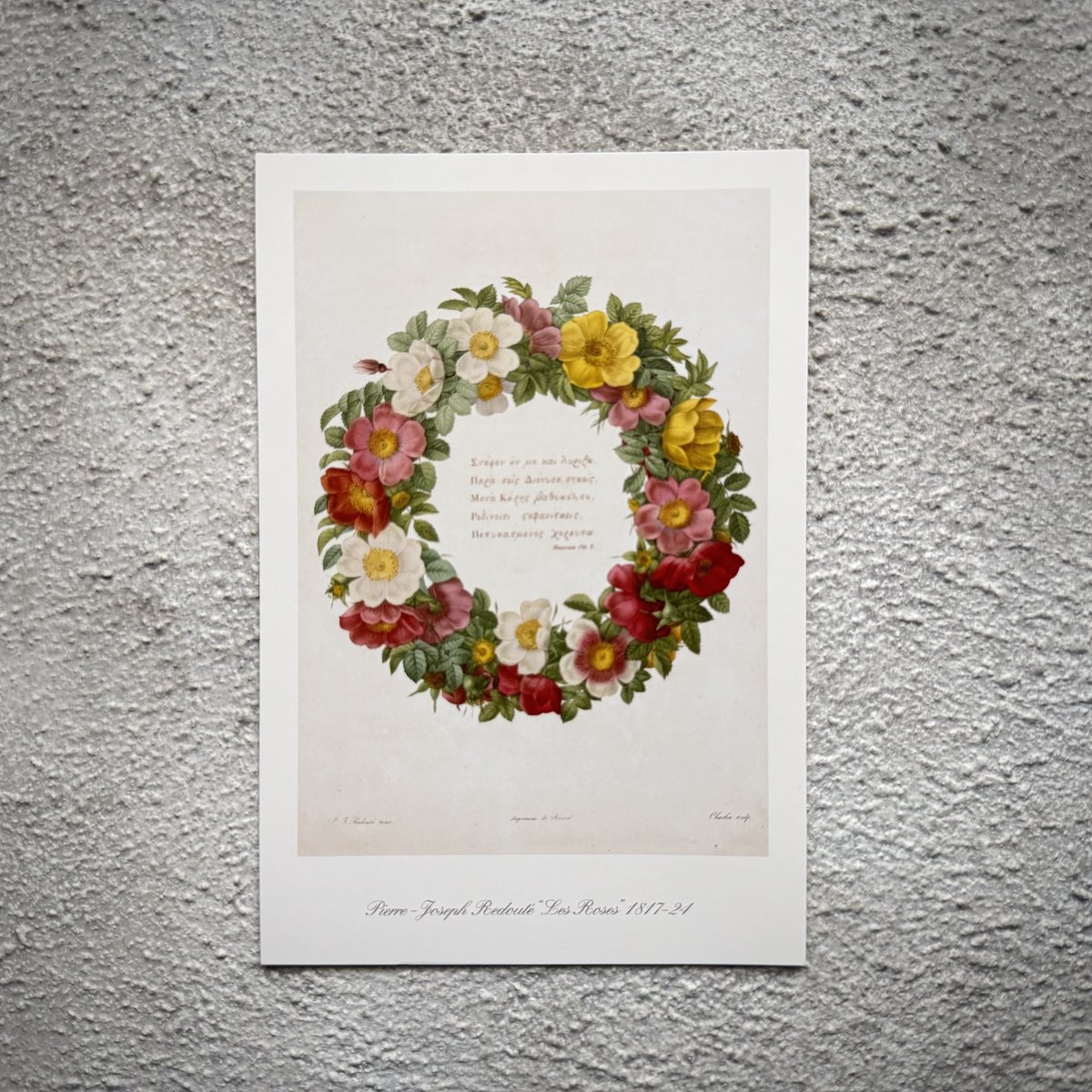 バラ図鑑の扉絵リース柄のハガキ