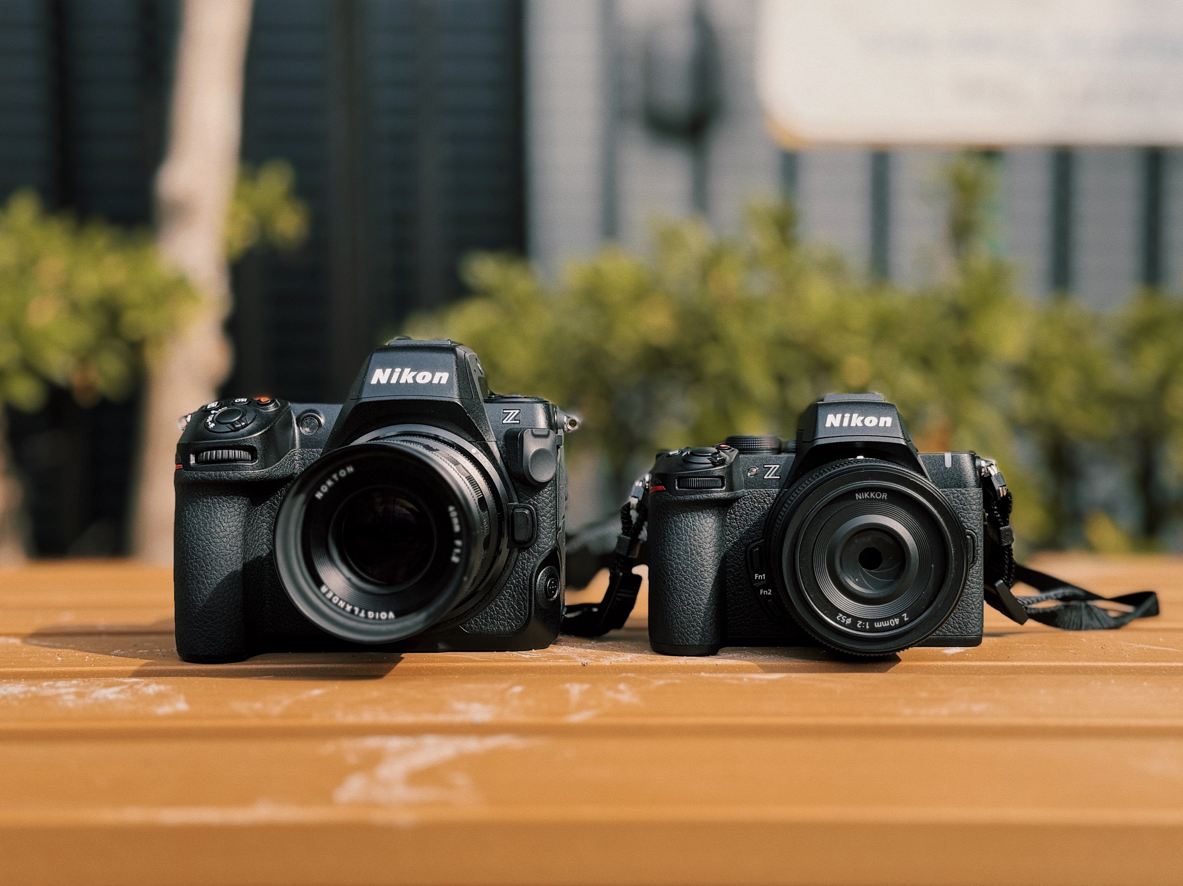 01】Nikon Z50Ⅱ｜お手頃スナップシューターに良いかも #レビュー