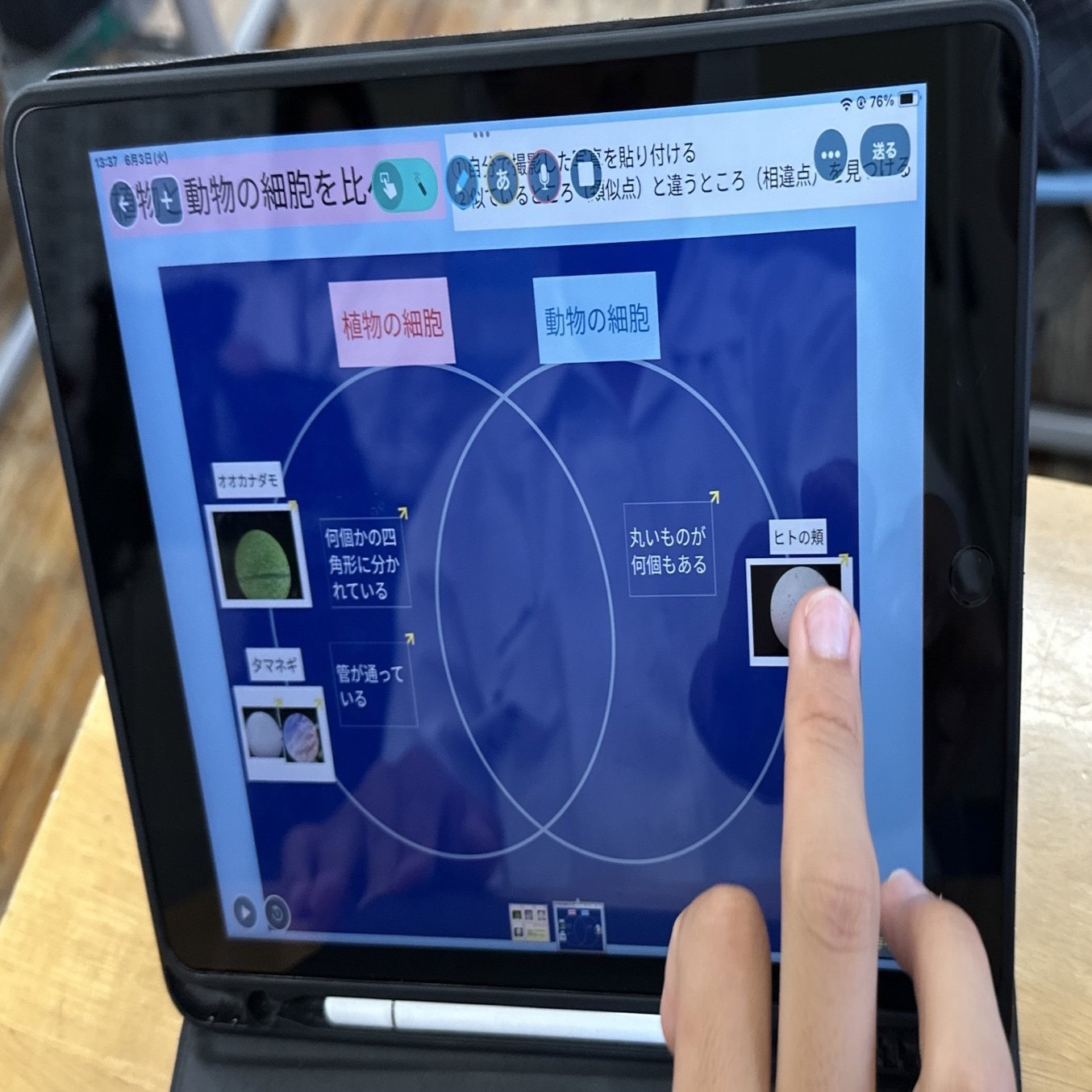 あなたの皮膚に何が生息しているか知っていますか?, image size:2000x1281