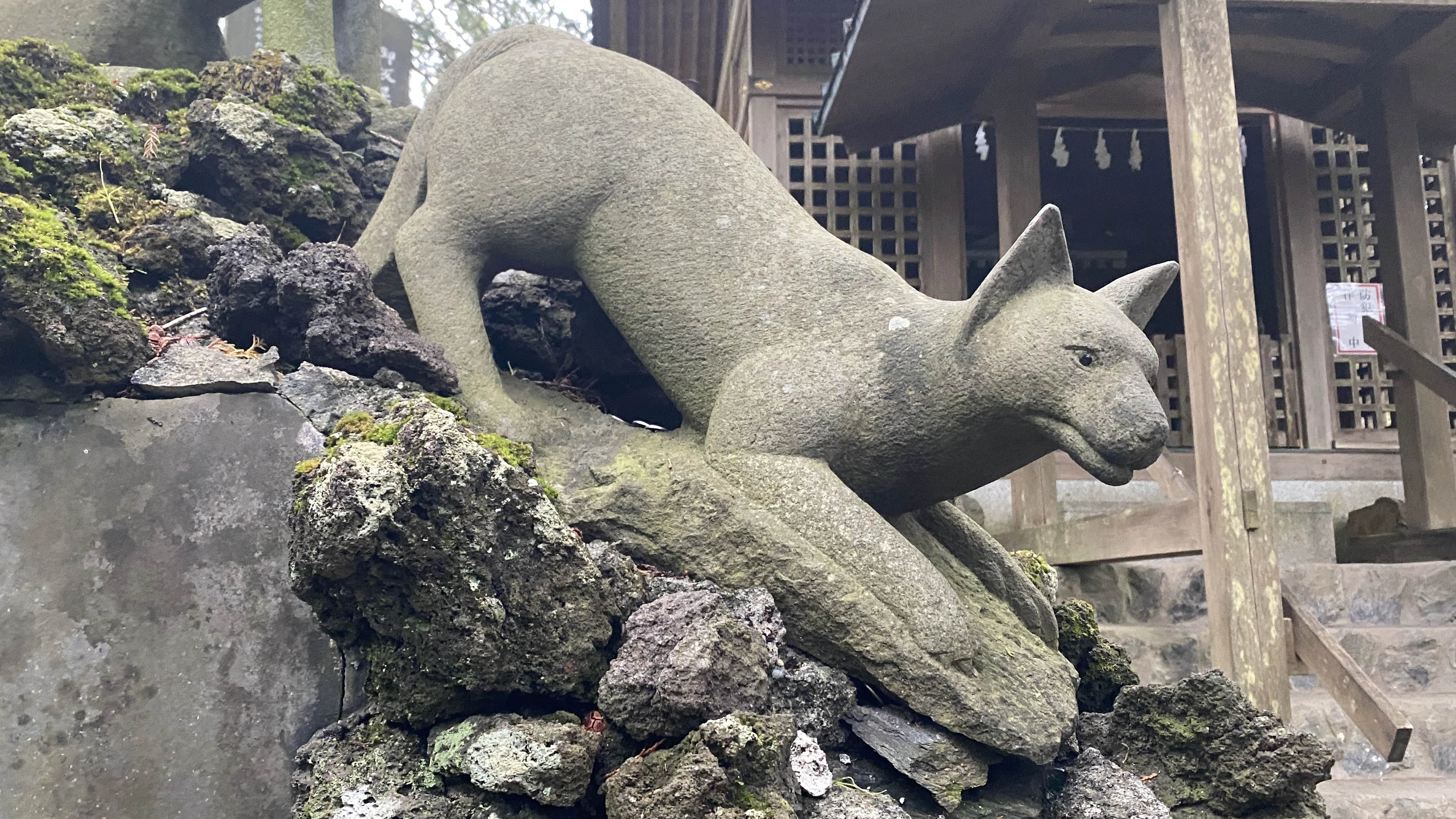 三峯神社で出会った狼神｜yukasuke