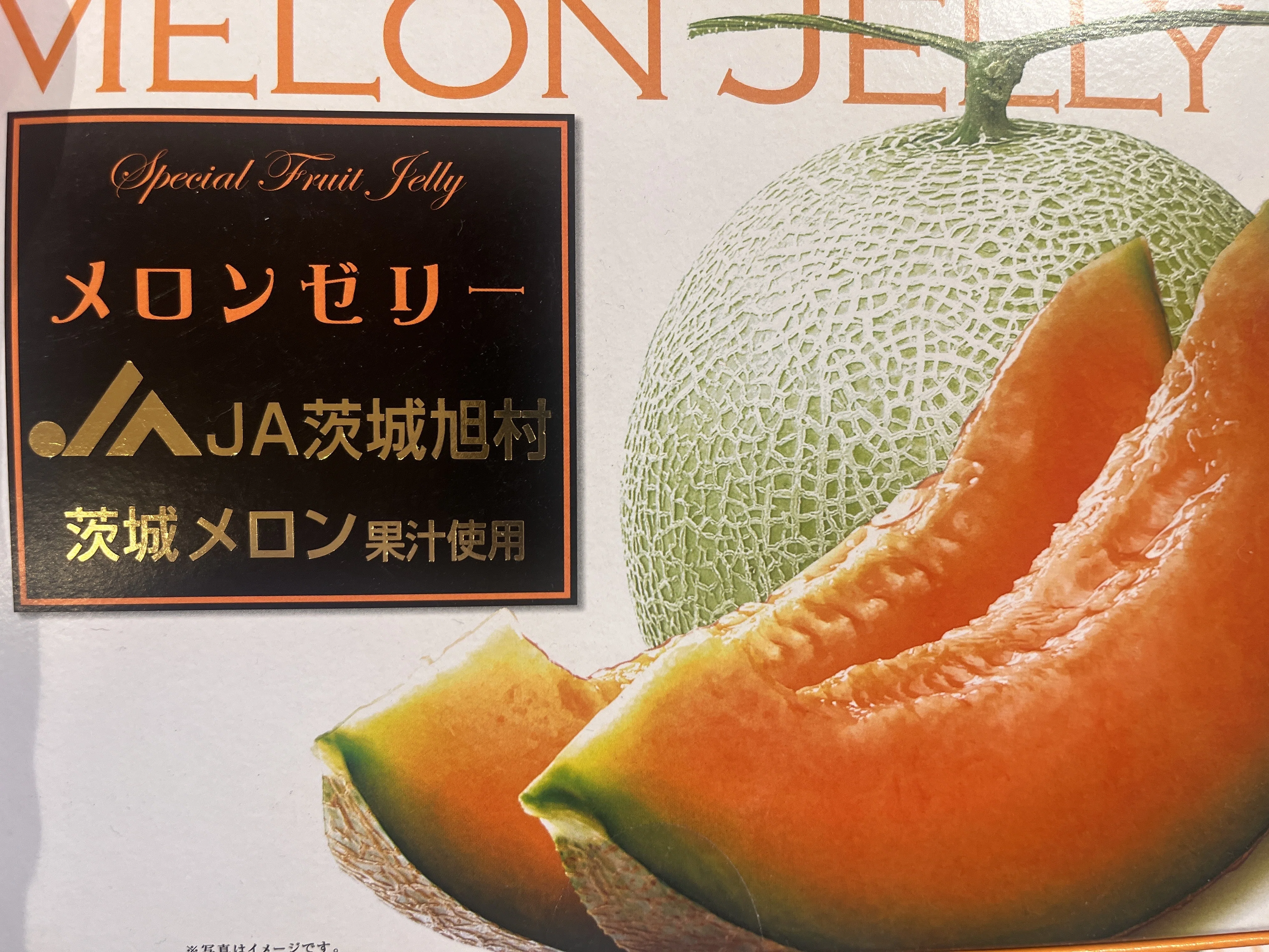 鉾田メロンフェスティバル2025を振り返る。|オカダユータ 鉾田メロンフェスティバル2025を振り返る。|オカダユータ