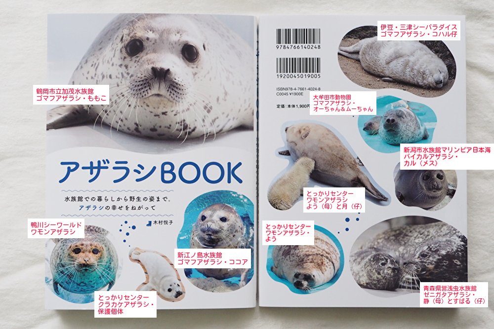 アザラシBOOK』出版記念連載 vol.2】とっかり「月」、新江ノ水