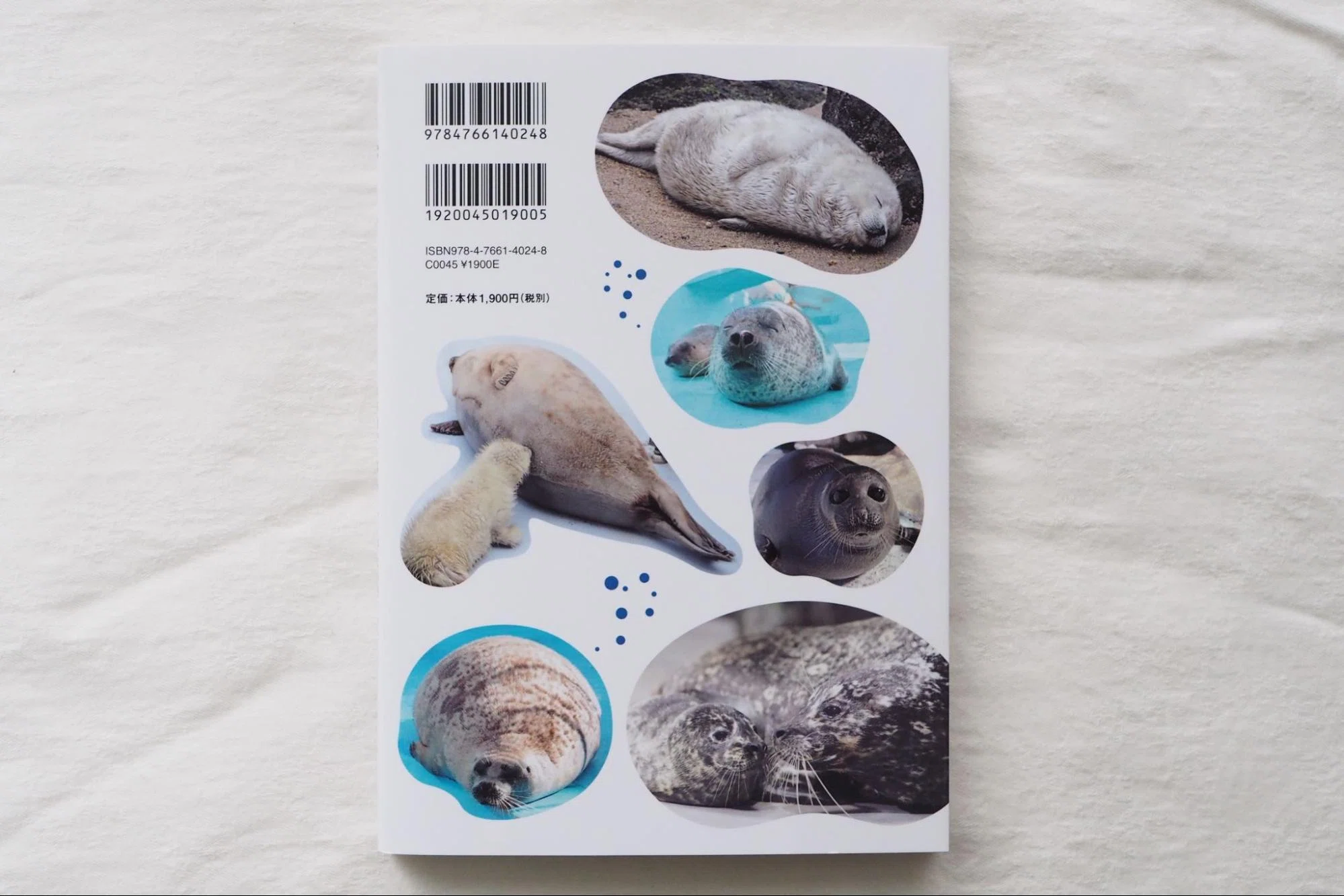 アザラシBOOK』出版記念連載 vol.2】とっかり「月」、新江ノ水