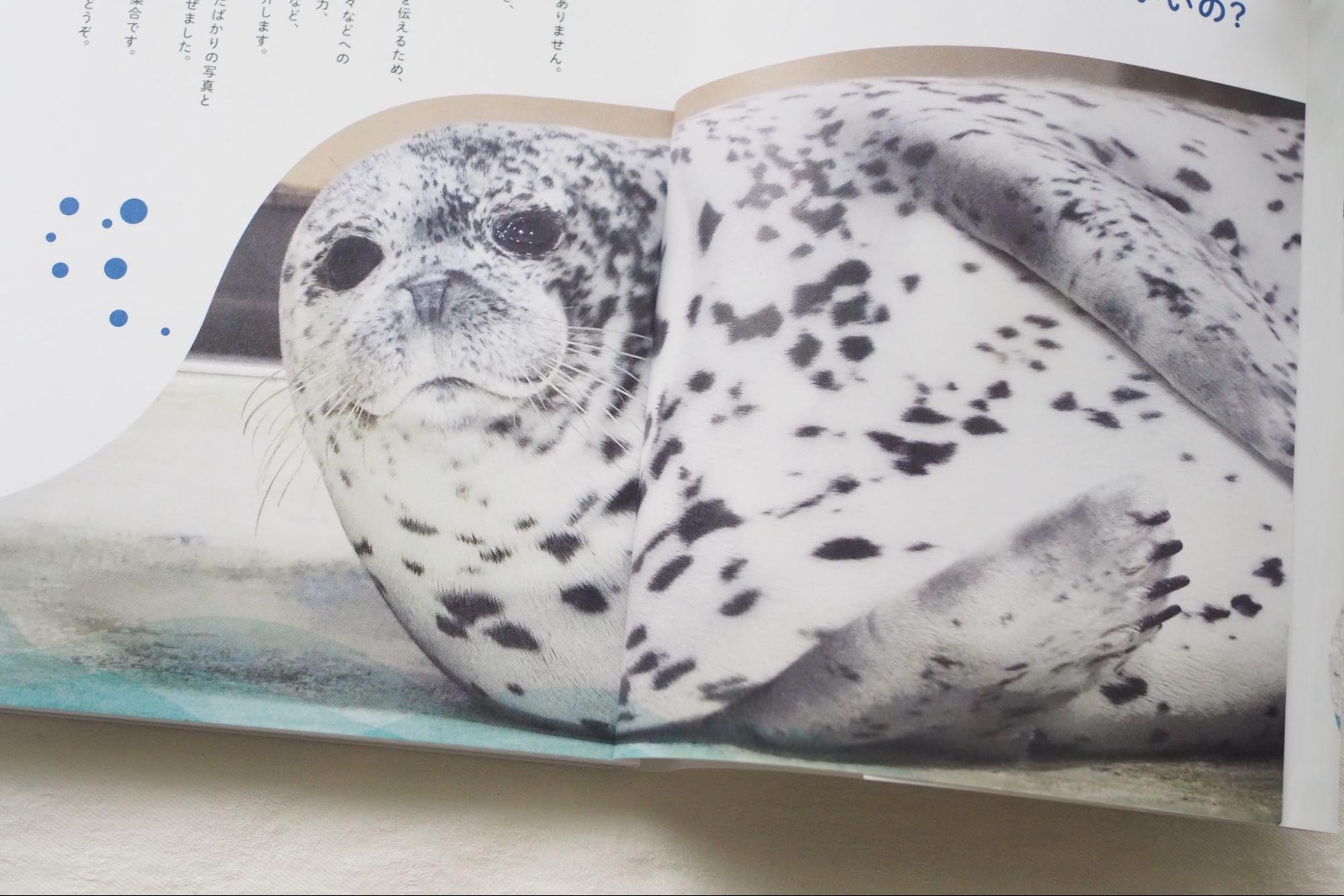 あざらしページ 豊岡鞄 皮革ワンショルダー | 179468 | 株式会社木和田正昭商店 | 商品