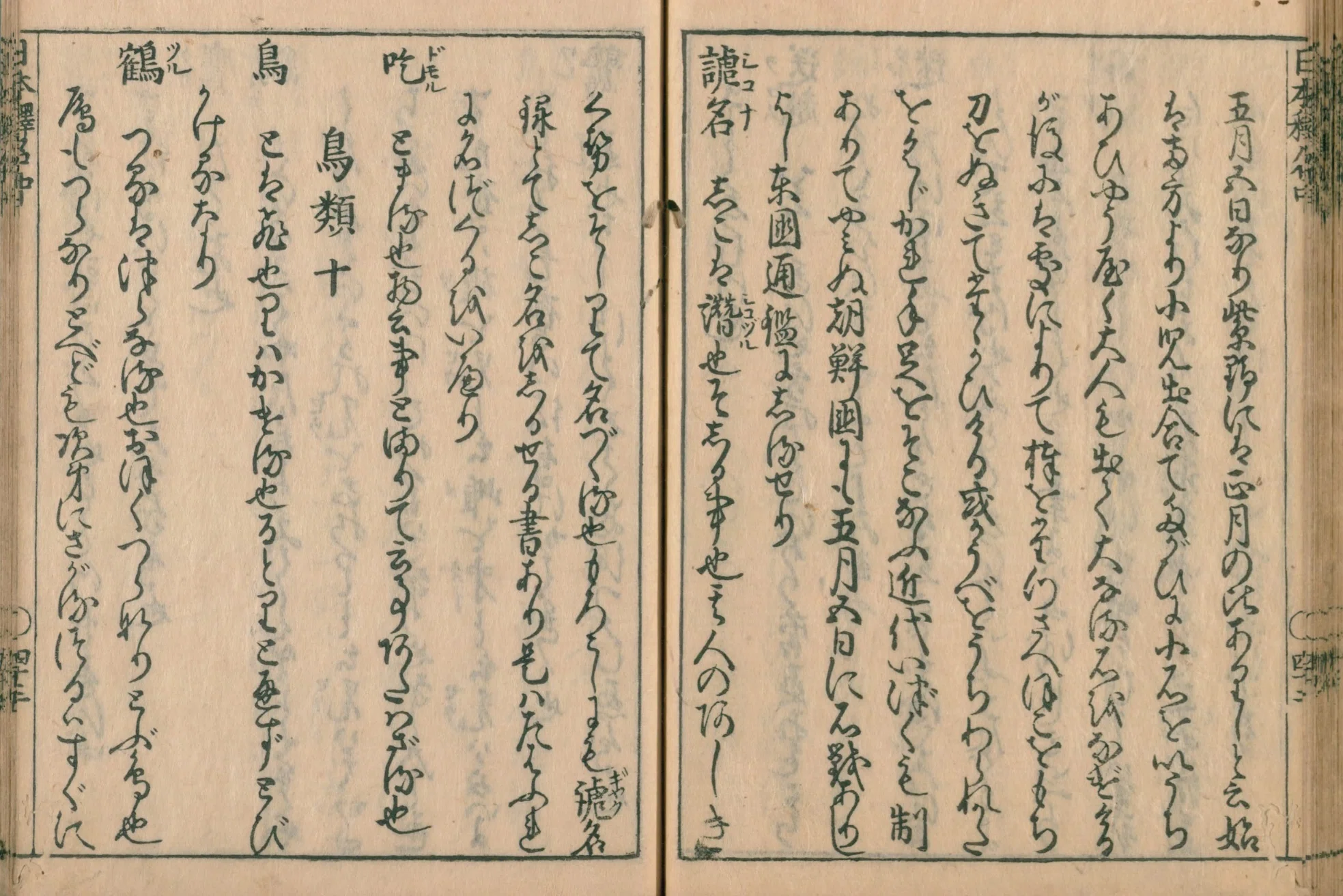 語源】日本釈名 (25) 鳥類（鶴・鷂・鷺・報春鳥・燕など）｜mominaina