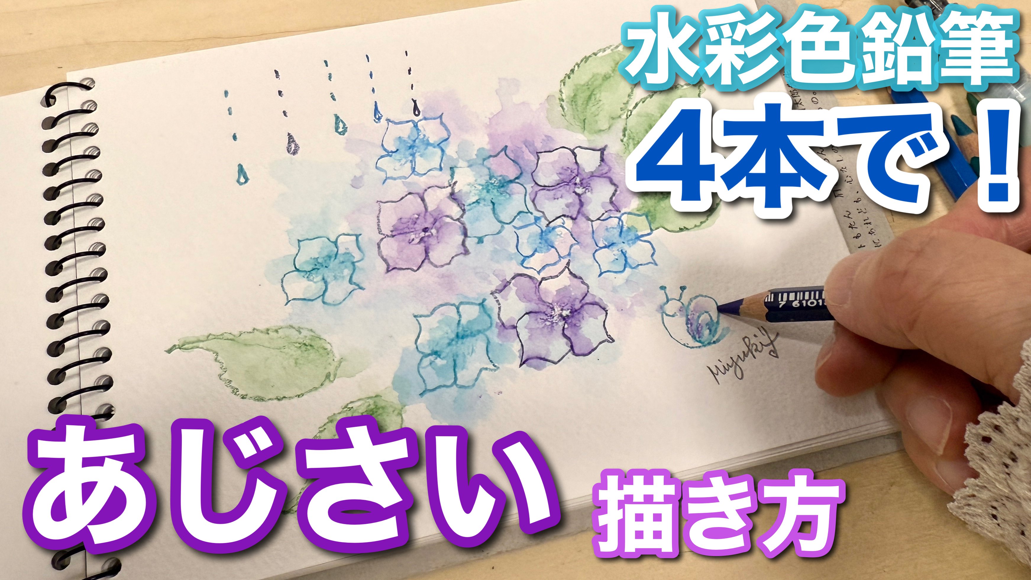 アジサイ 水彩色鉛筆画 額なし 40bfe8a86f300523e32a24fdfc0767