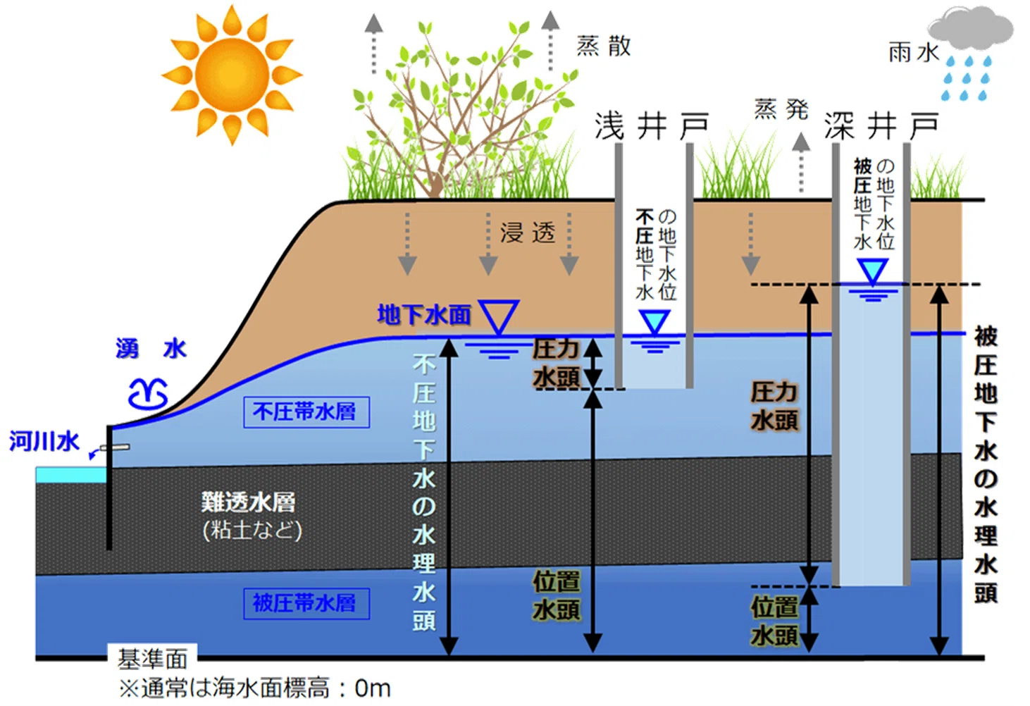 The Science Textbook Diagram I Still Remember｜lin｜地域おこし協力隊