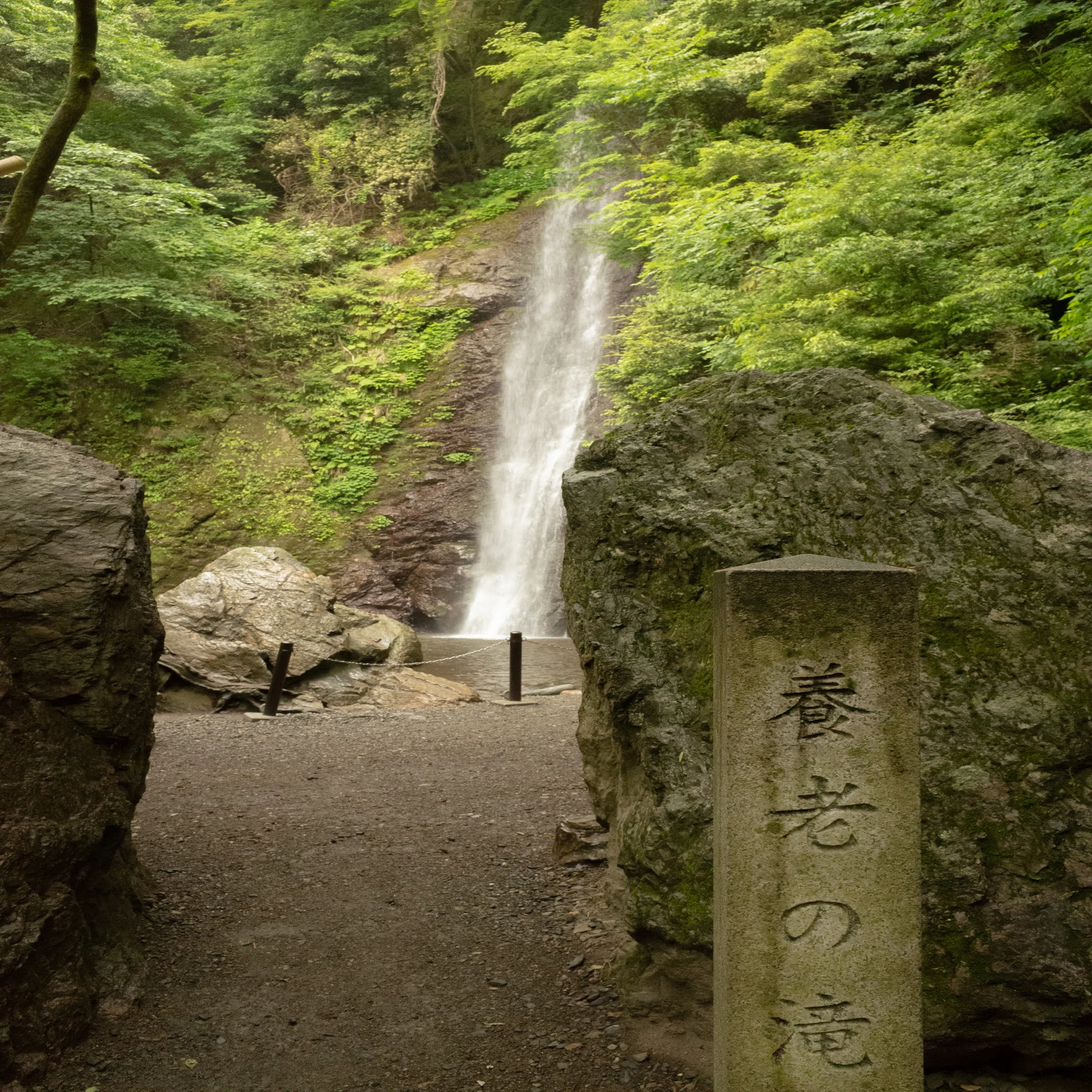 養老天命反転地｜荒川修作＋マドリン・ギンス｜岐阜県養老町｜a.n