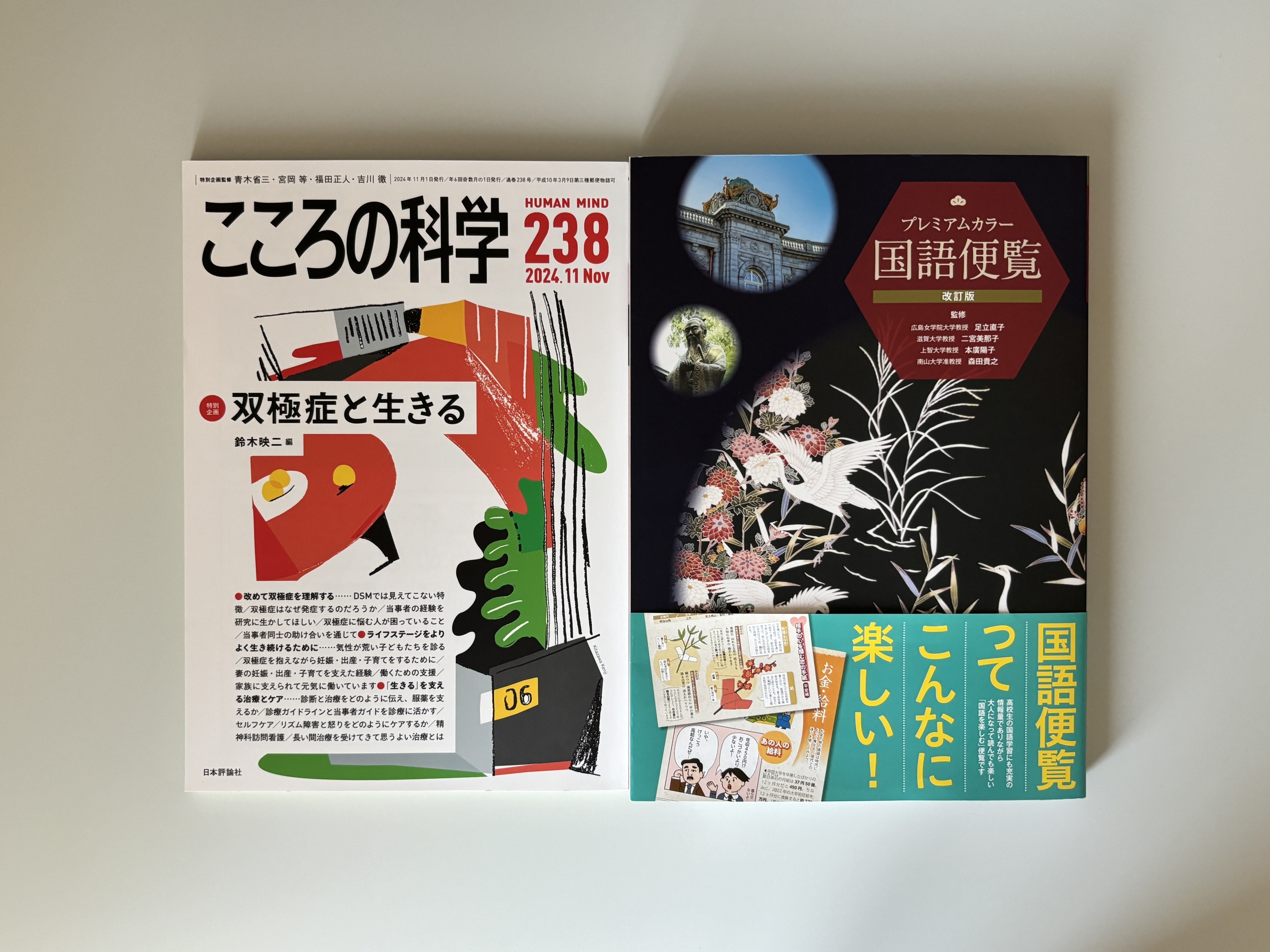 購入本 #013 （2025年1月～2月頃）｜地中キャンプ