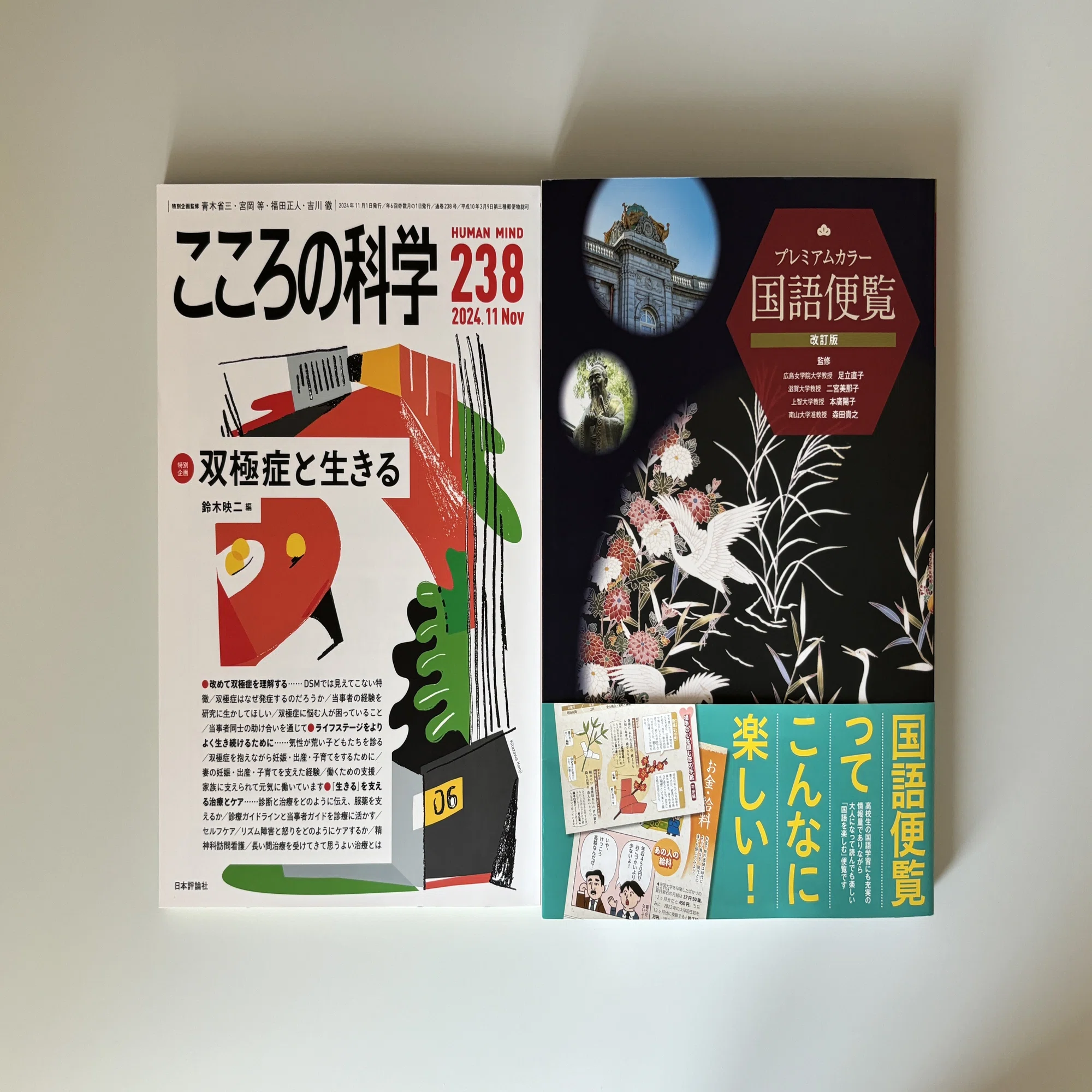 購入本 #013 （2025年1月～2月頃）｜地中キャンプ