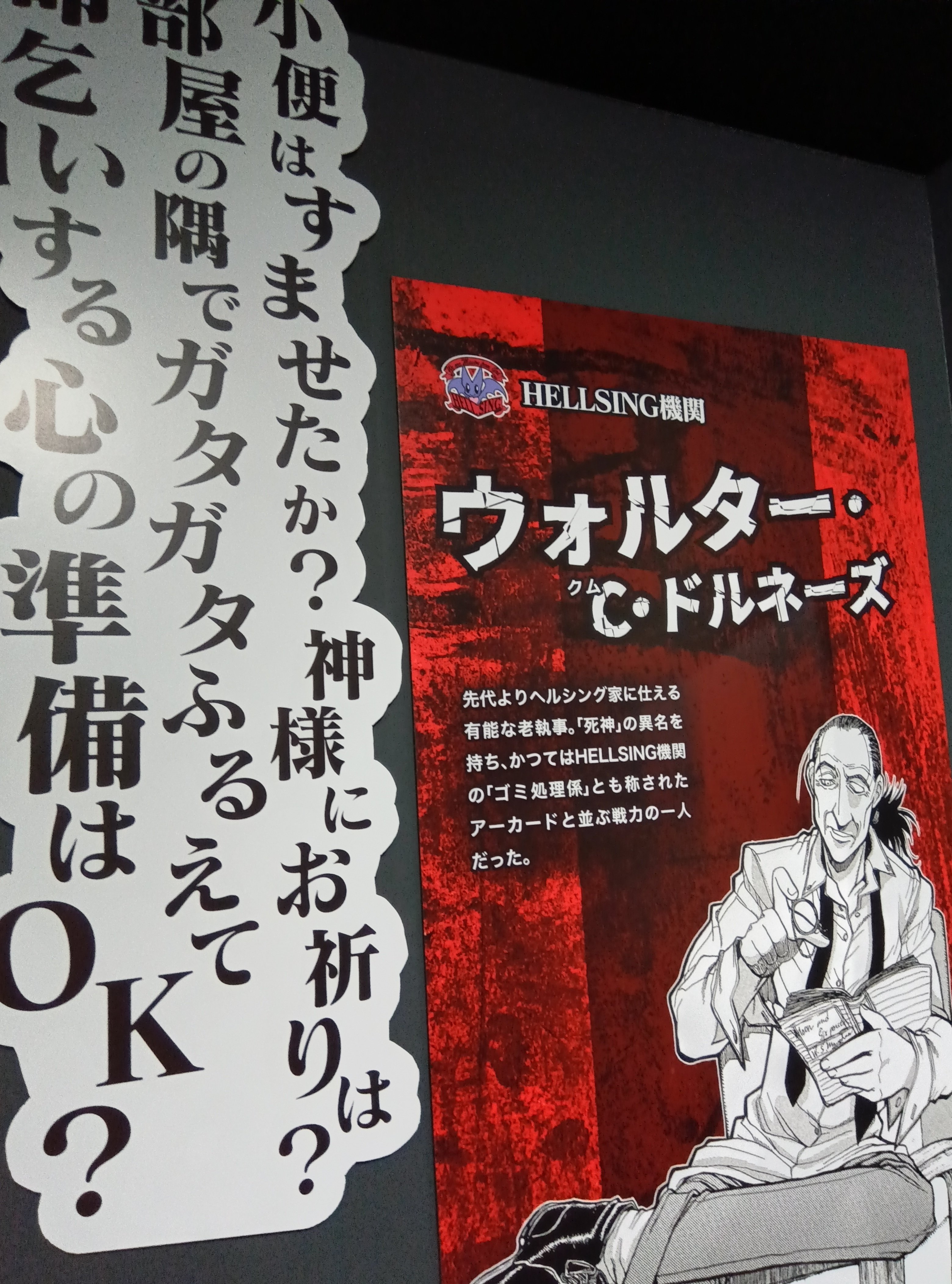 平野耕太 YOUNGKING OURS HELLSING 複製原画 セット ③ HELLSING
