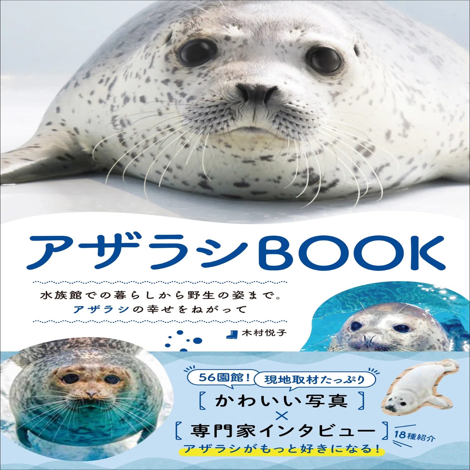 アザラシ足りてますか？】水族館から野生の姿までかわいい写真が満載