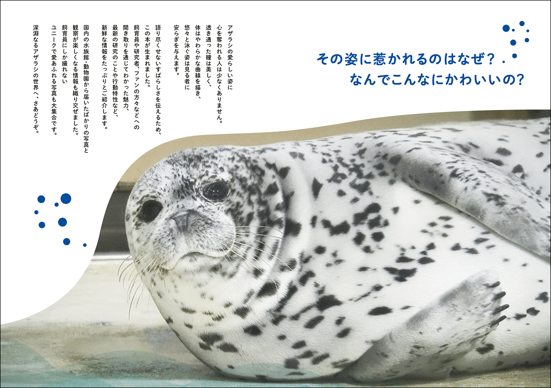 アザラシ足りてますか？】水族館から野生の姿までかわいい写真が満載
