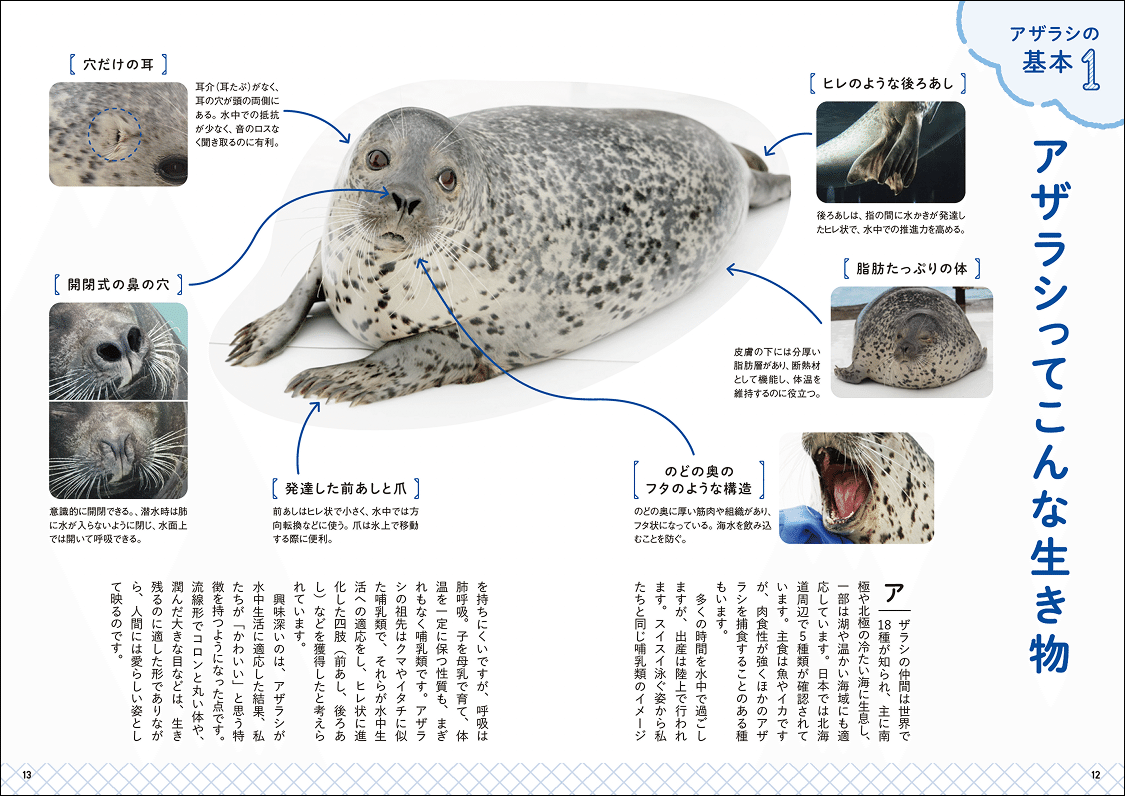 あざらしページ アザラシまるごとBOOK (TATSUMI MOOK) | 南幅 俊輔, 今泉 忠明