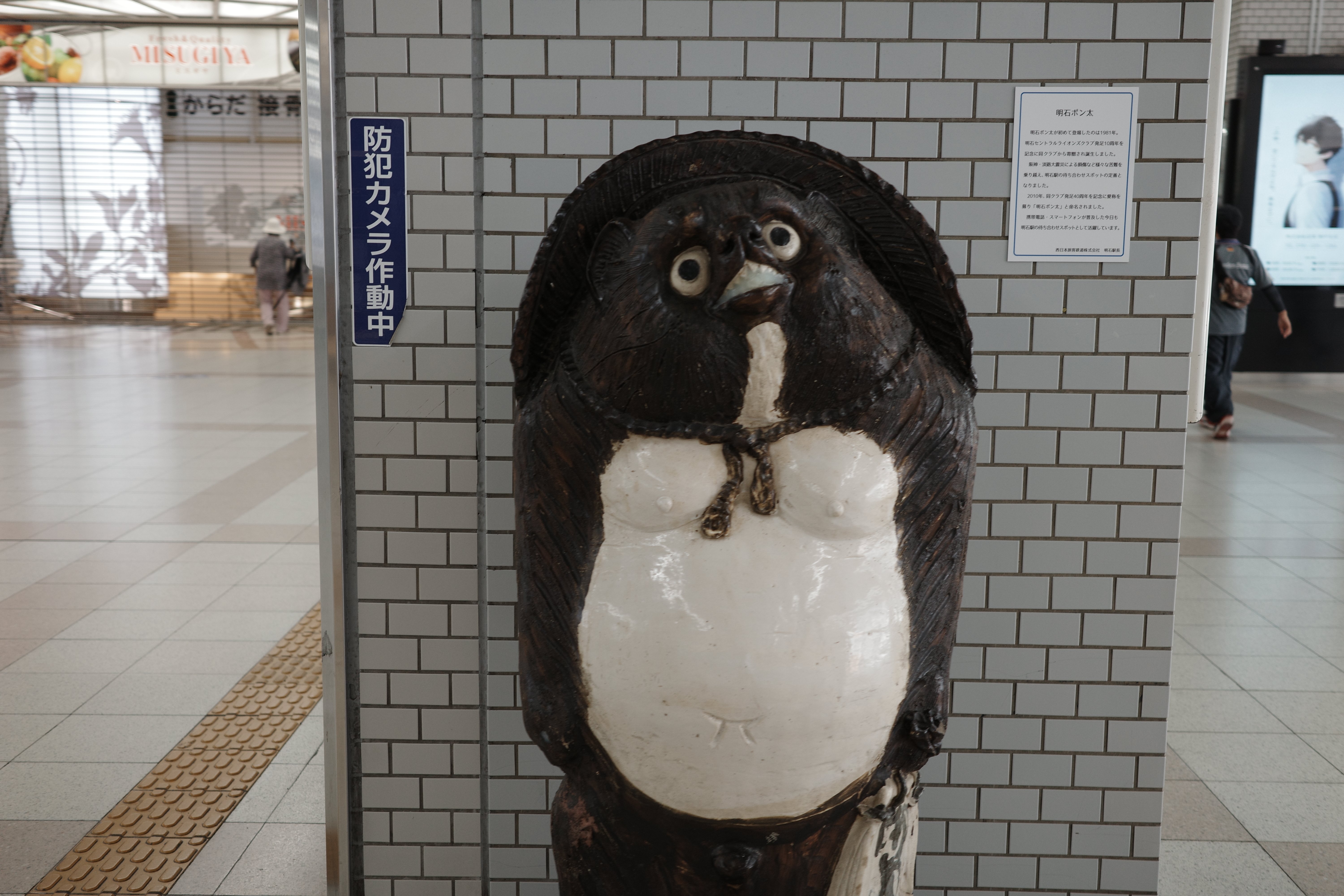 フォトウォーク@05/06/2025｜komorebi_94