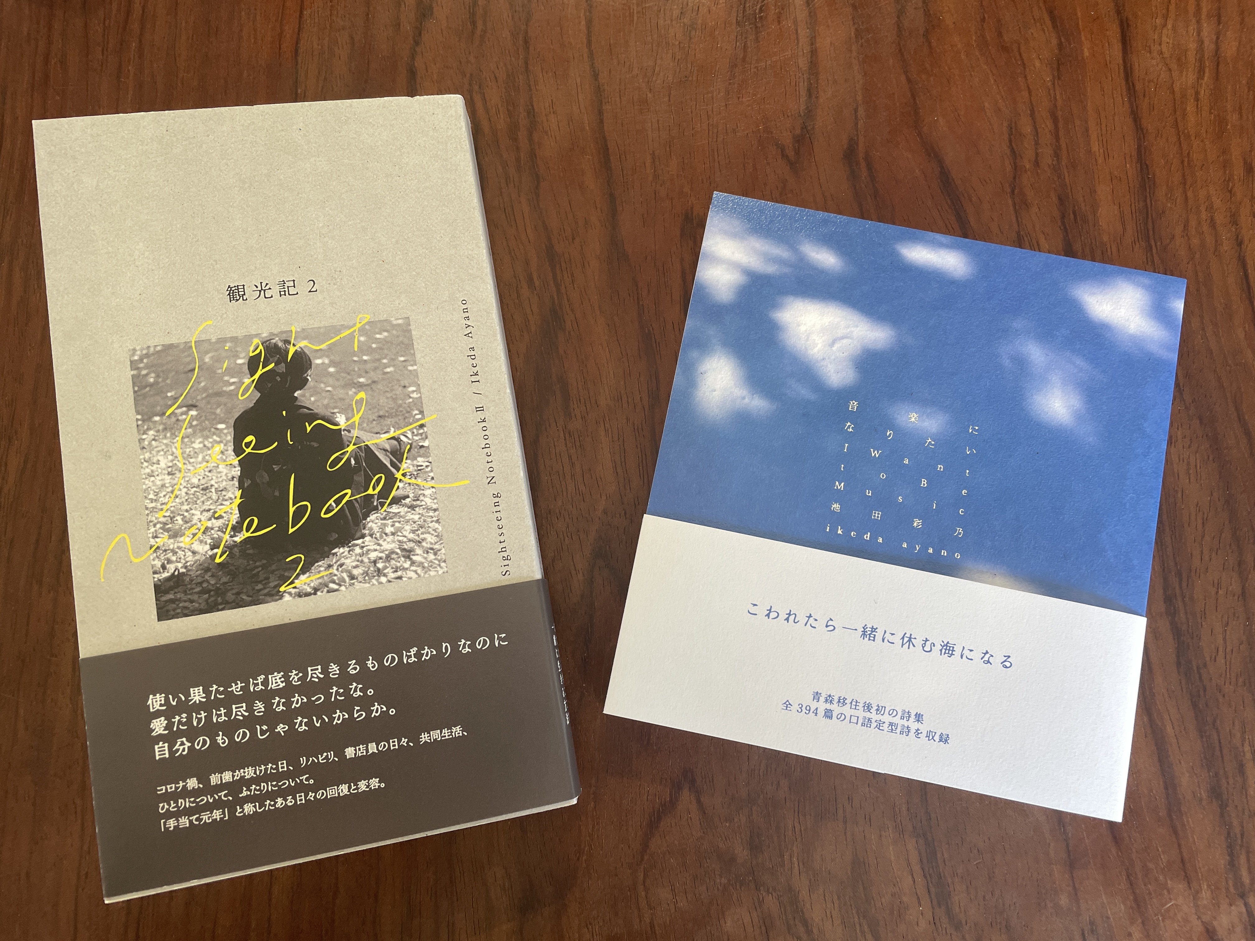 送料無料 店舗 ほしよりこzine リトルプレスcowbooks 女性漫画