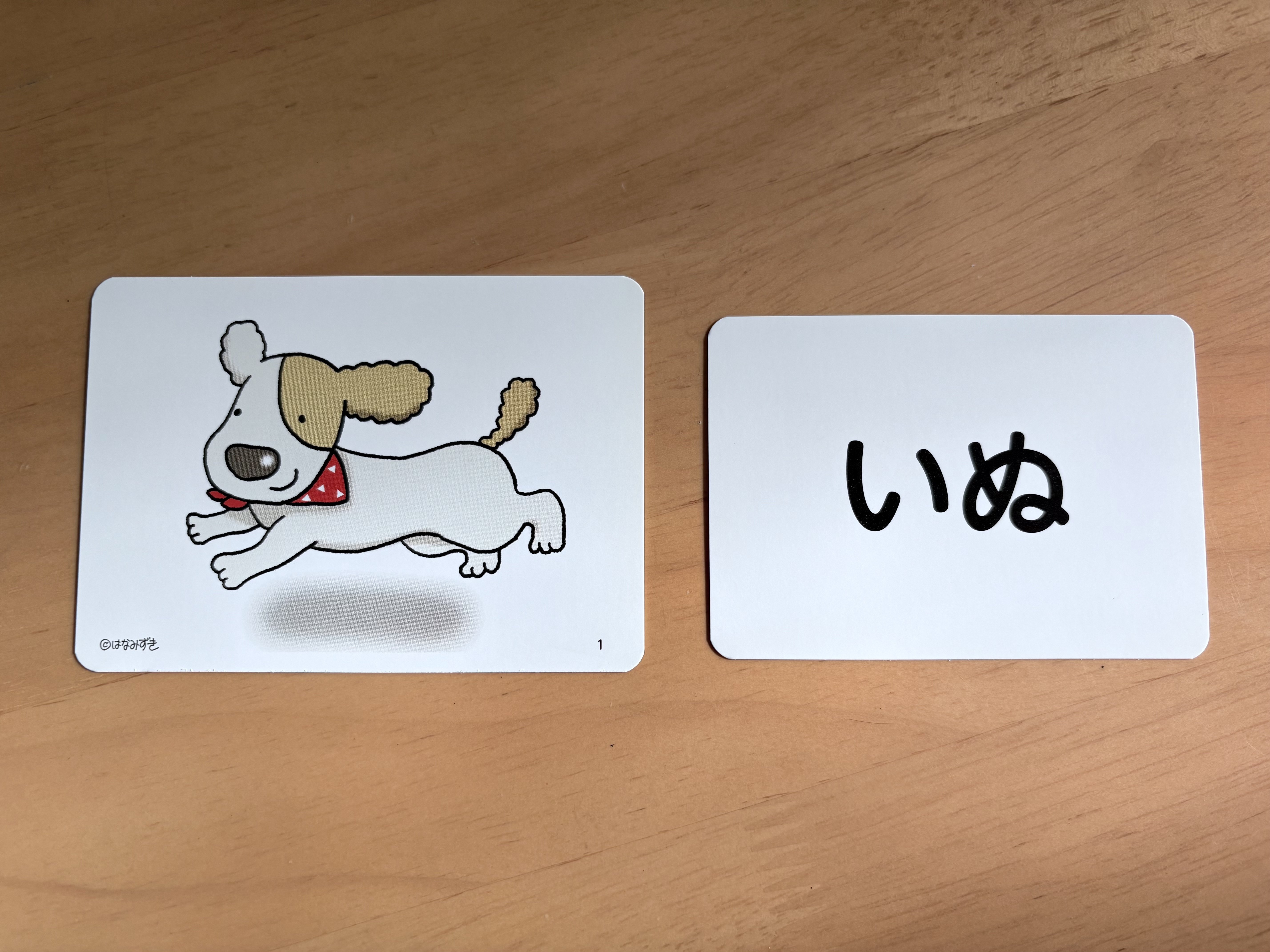 A-01 教材紹介「かるたす」と読み書きの指導法～学習活動の要とその