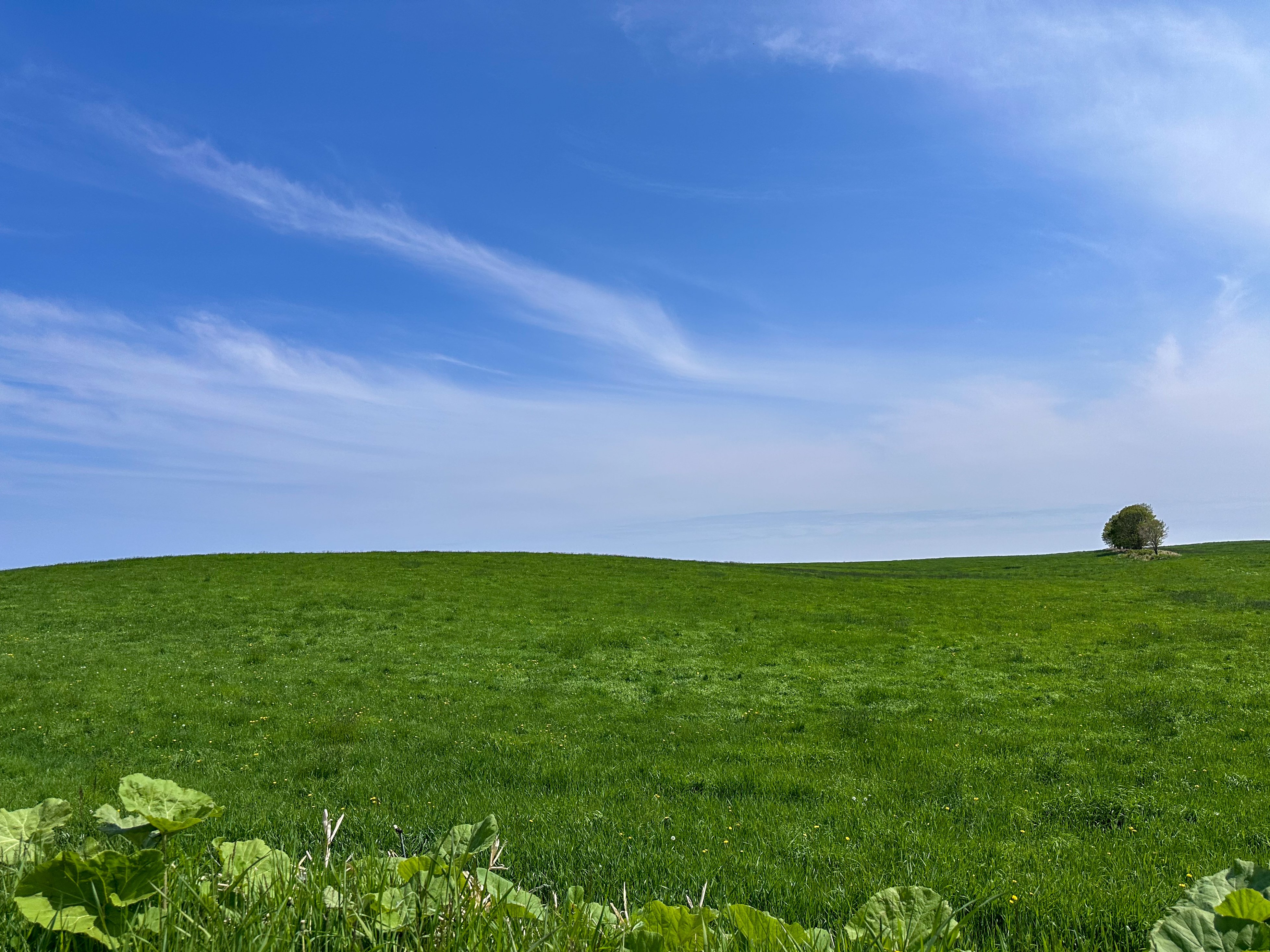 風景写真 TZ99と夜景｜衰咲ふち