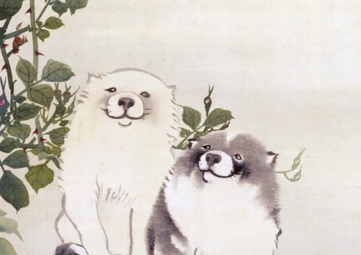 Caution: Too Cute🐶】From protected dogs to dog-filled scenes