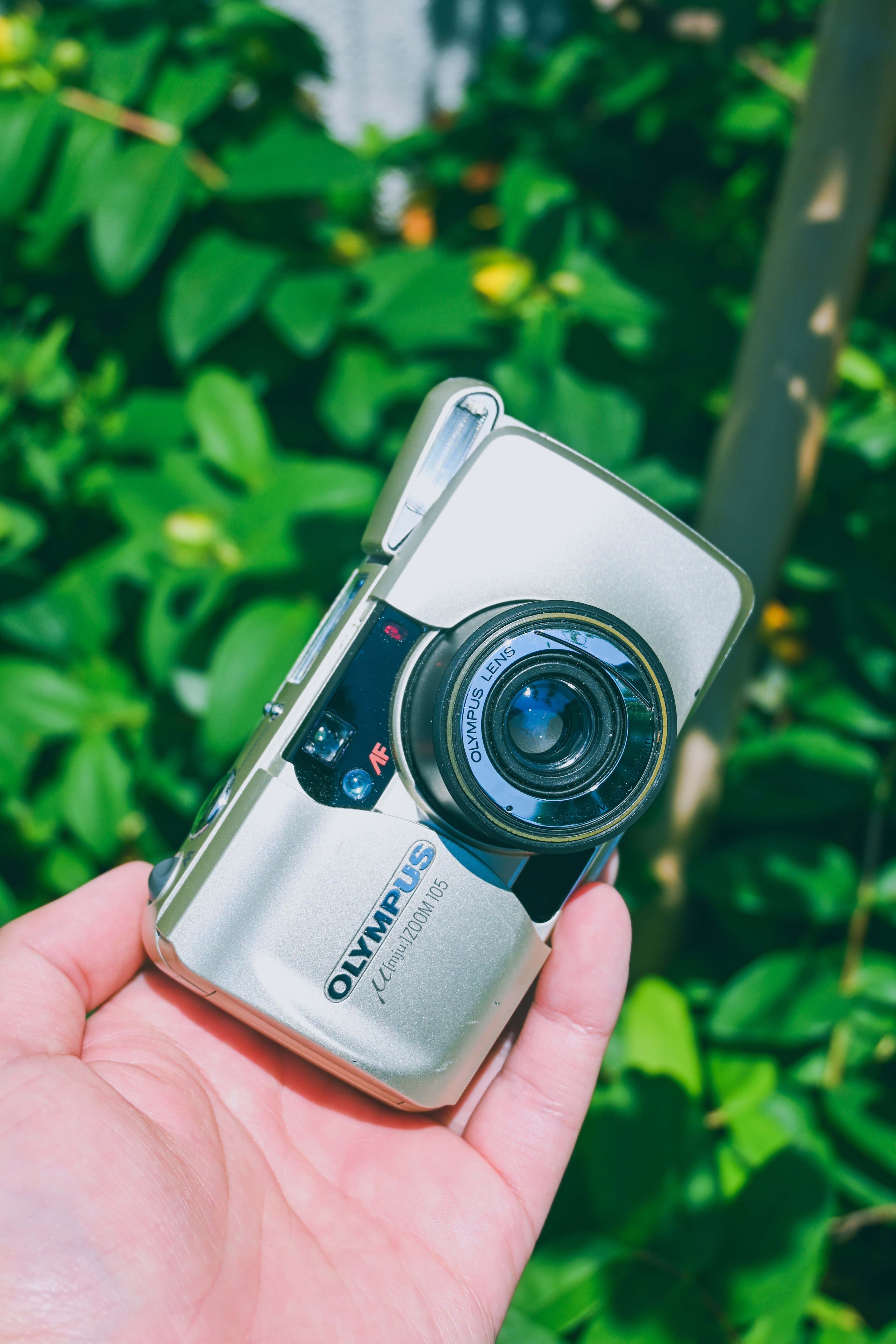オリンパス ミューズーム105 おまけ付 Olympus μ フィルムカメラ】私のミューズ｜オリンパス μ ZOOM 105｜もんぶらん