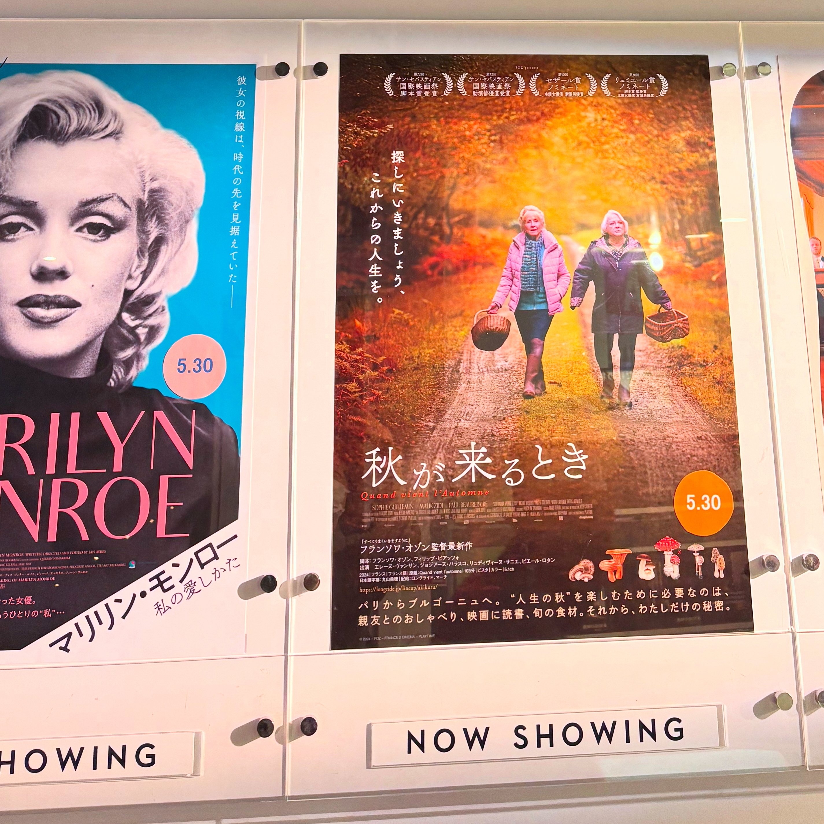 フランソワ・オゾン最新作・映画『秋が来るとき』2024年5月30日