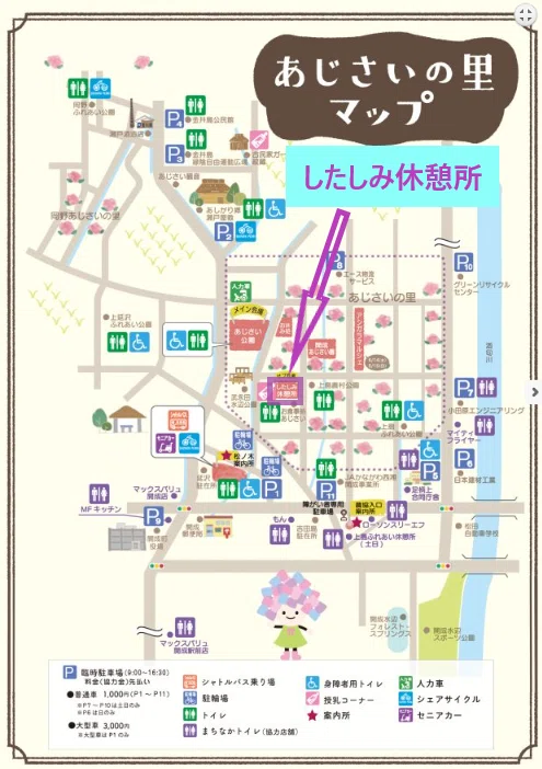 2025/6/6「 あじさいちゃんアンブレラ☂ 」誕生☆70th Anniversary