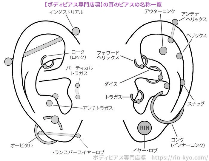 続・わたしとピアスと夏フェスと｜朱華色