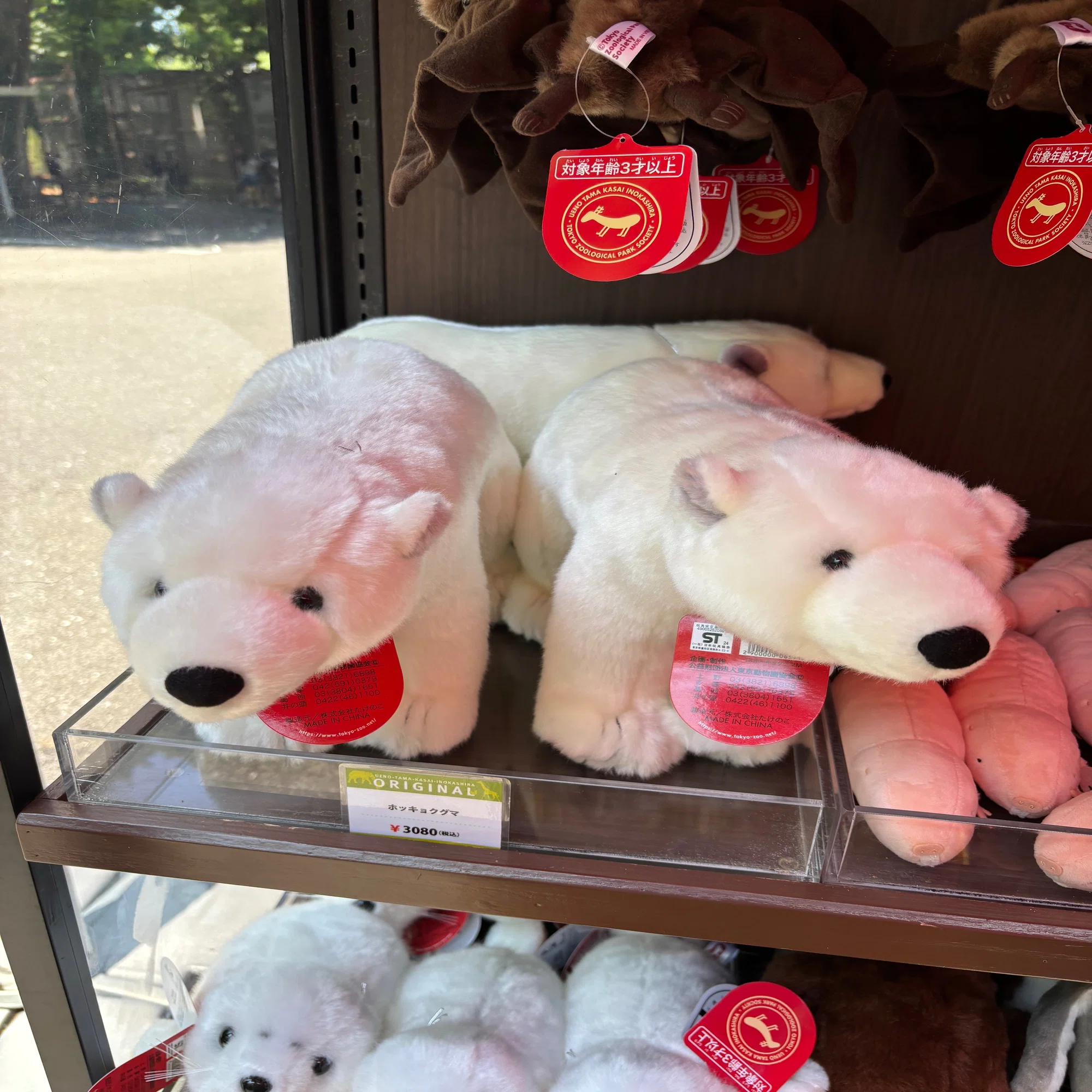 人生で初めてひとりで動物園に行ってきた｜ゆうら