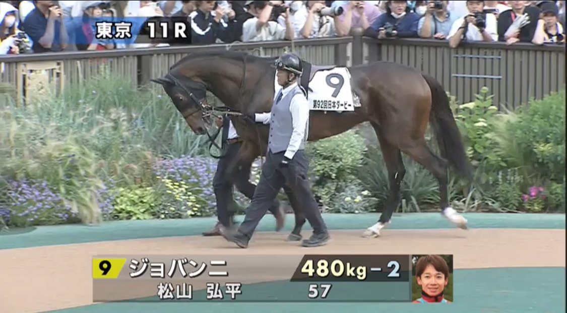 美品  日本ダービー】2.23.7で推し馬優勝‼️🏆次走絶対買うべき馬を スポーツ