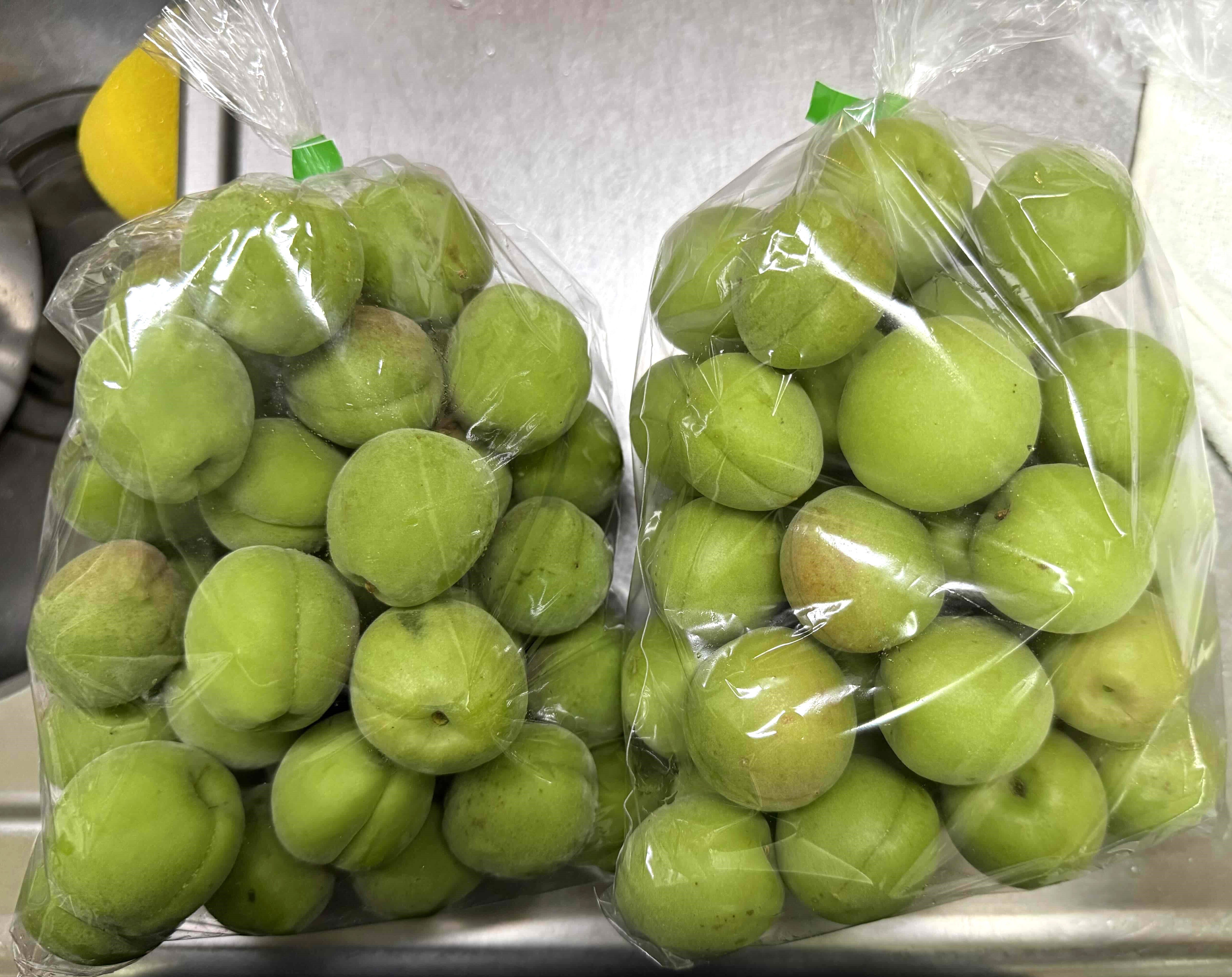 青梅 白加賀 B級品 20キロ （まじりっけなし！自然栽培の青梅