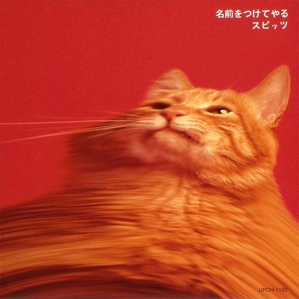 名前をつけてやる/スピッツ」1日1枚アルバムレビュー＃3｜祖月