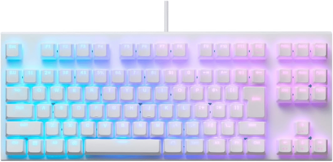 REALFORCE GX1 ラピッドトリガー 91キー TKL 30g (ホワイト)｜GetGadgetGot
