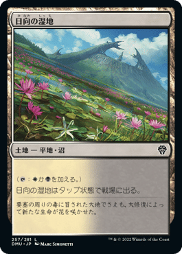 【MTG】諜報ランド【各1枚セット】 諜報ランドは今いくら（タルキール：龍嵐録発売後）｜clst