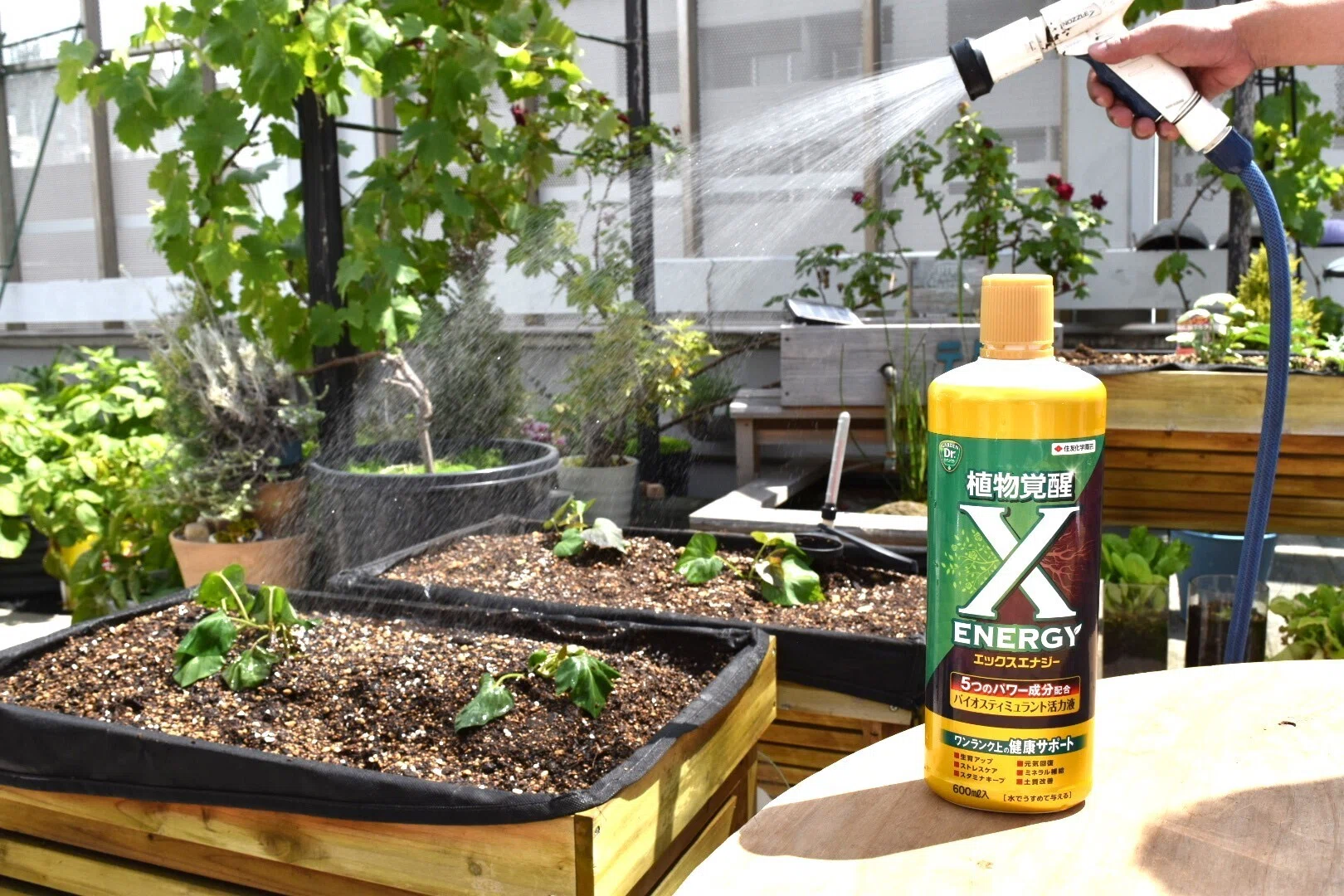 メーカーさんに聞く！植物が“自分で強くなる”って本当？──話題の「X