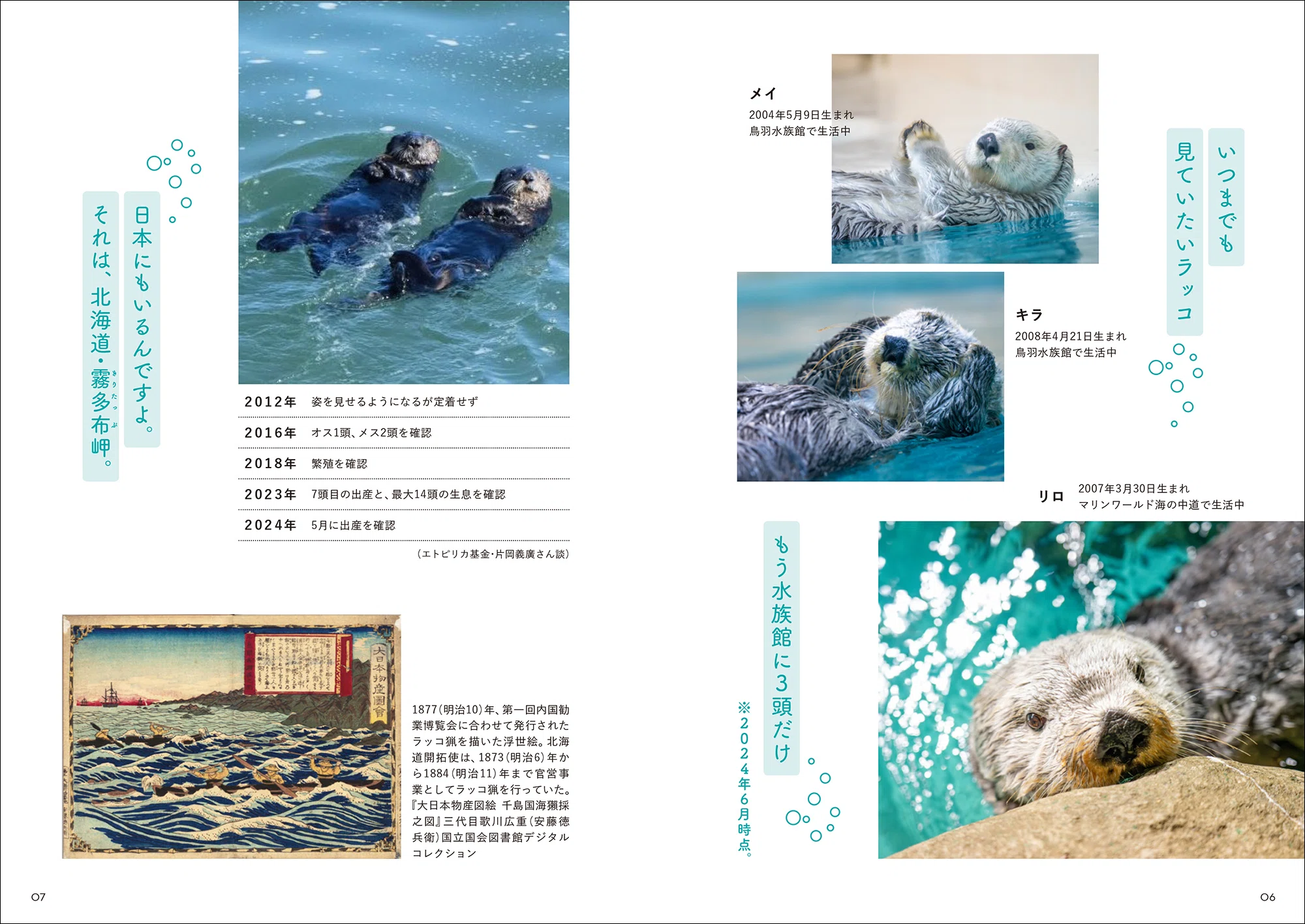 きょうの一冊】かわいらしい姿から野生の生態まで今のラッコのすべてが