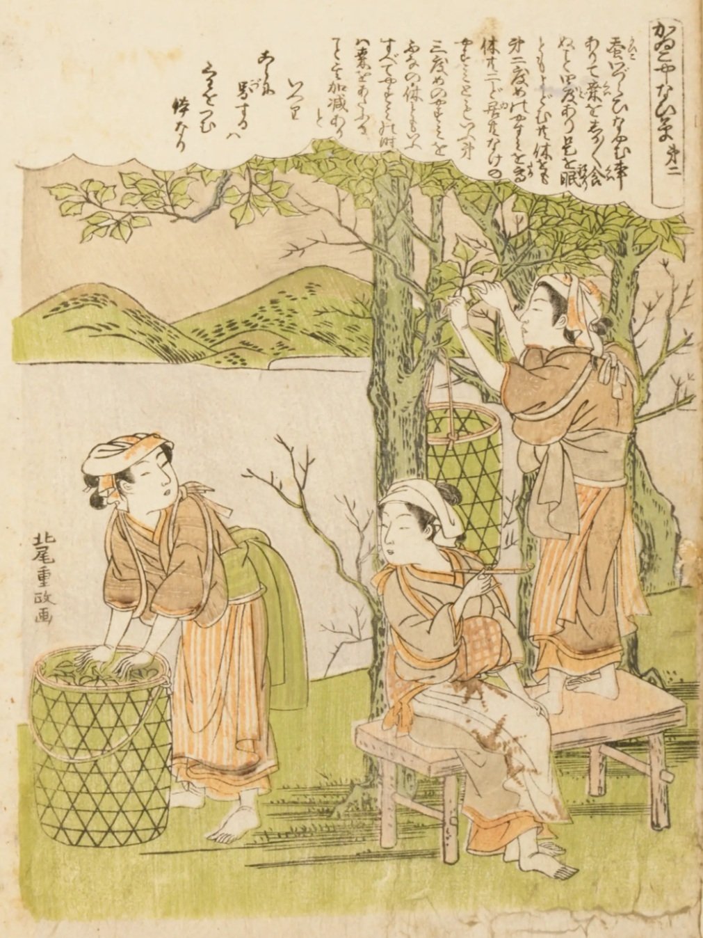 M5183●江戸明治和本等＞〈新撰〉養蚕往来〈頭書養蚕図絵〉B 山岡霞川 往来物 M5183○江戸明治和本等＞〈新撰〉養蚕往来〈頭書養蚕図絵〉B 山岡霞