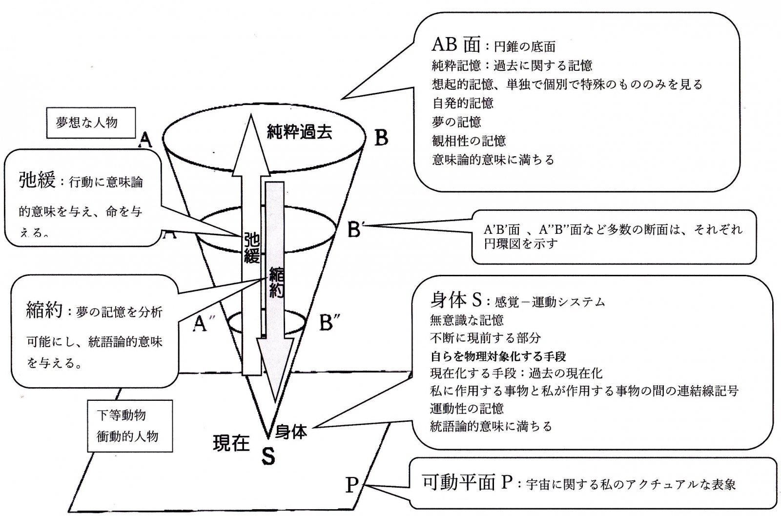 懐手して円錐図見物 -アポロニウス「円錐曲線論」から荒川修作