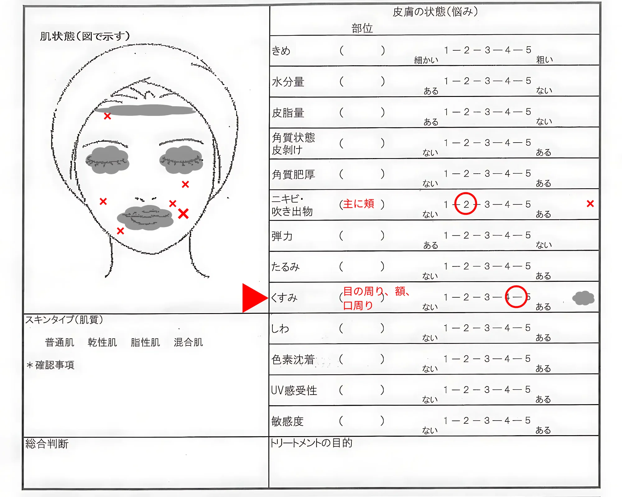 Skin Check (2)｜25年のプロが新人時代の自分に渡したいスキルブック