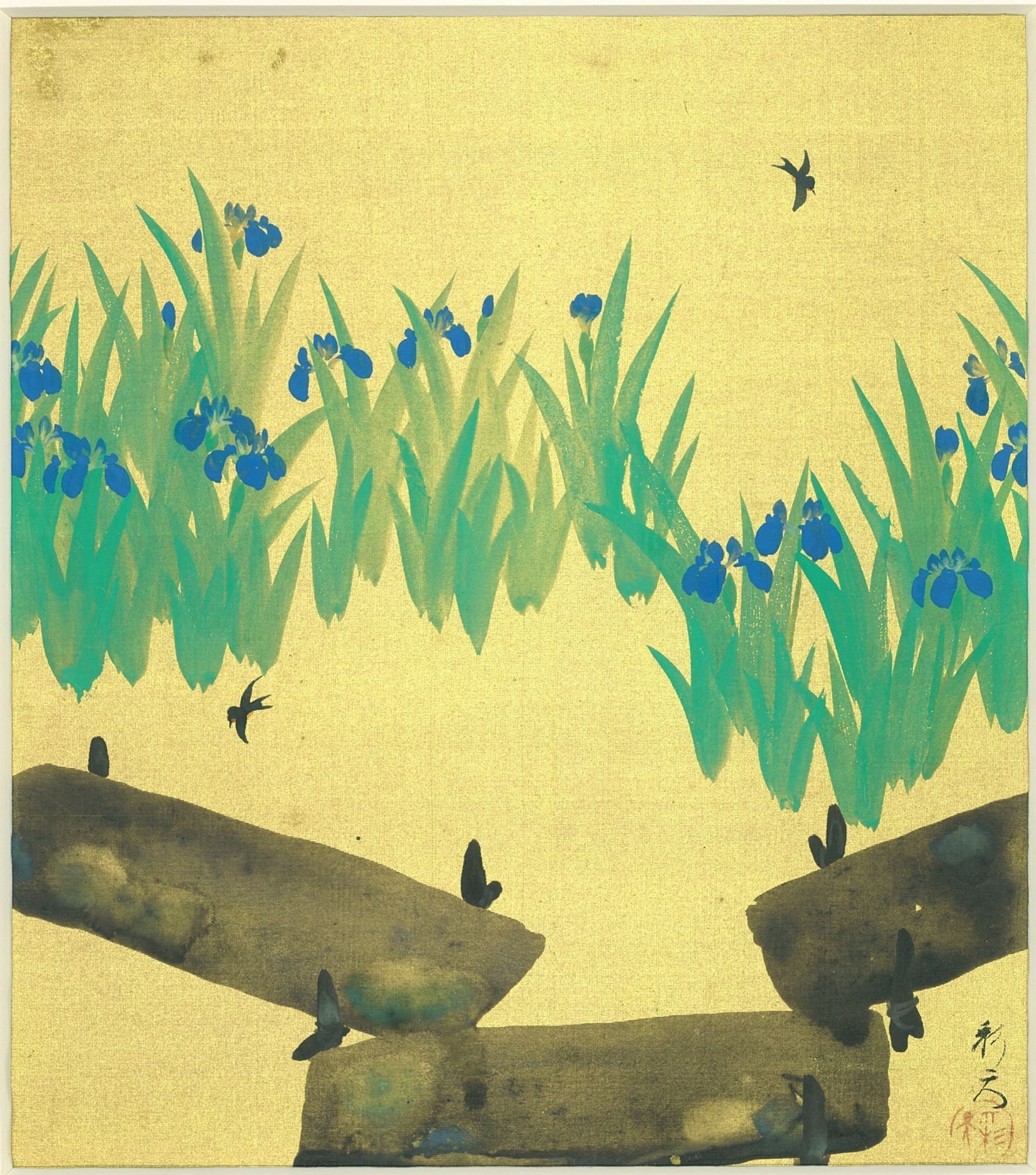 学芸員コラム】いずれあやめかかきつばた｜講談社野間記念館