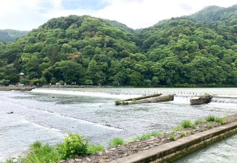 12．美しい景観に春夏秋冬を通じて魅了されるー嵐山の渡月橋｜伊藤義康