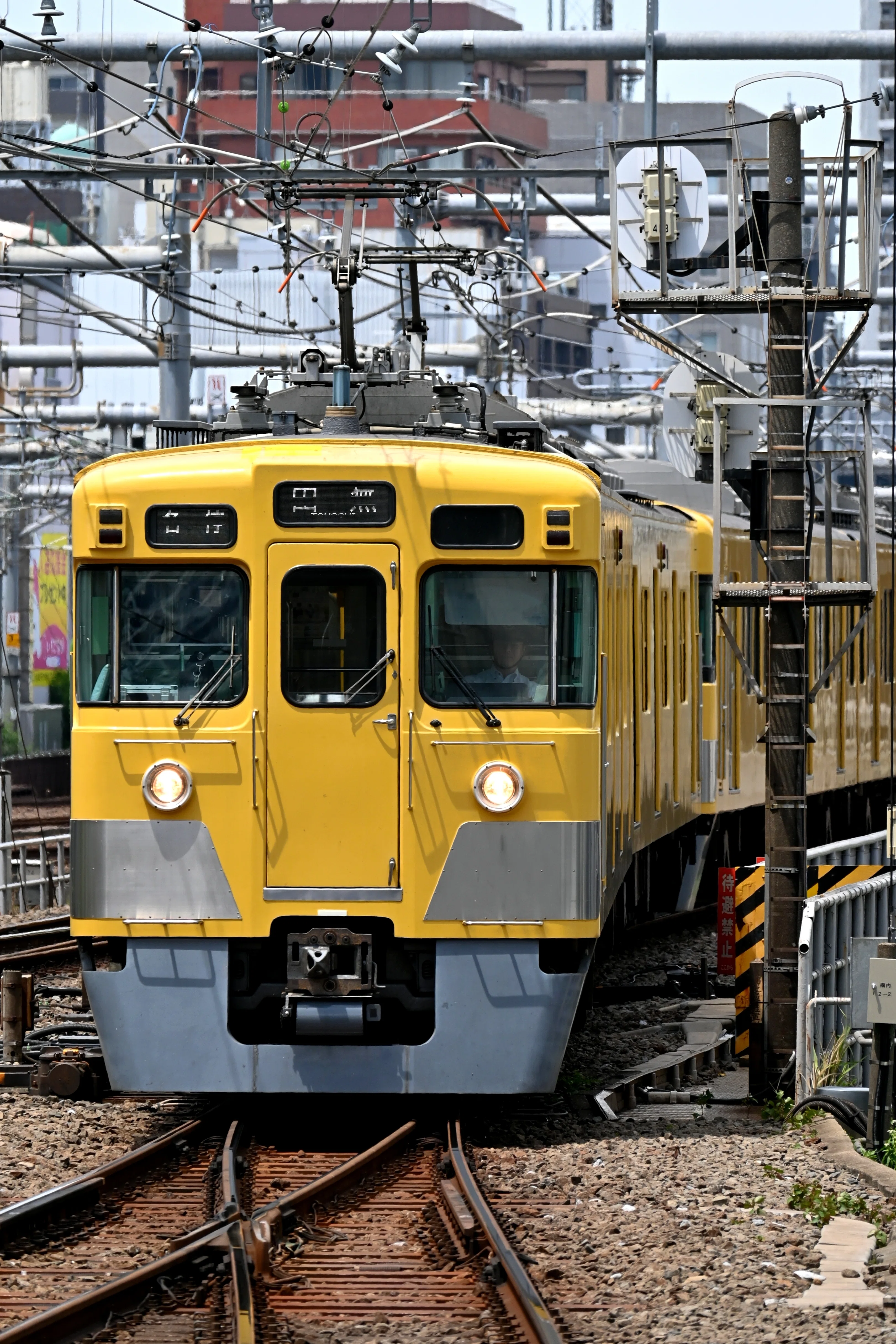 西武2000系 重単5175 ～鉄道模型と鉄道写真 初期形の半世紀 西武鉄道旧
