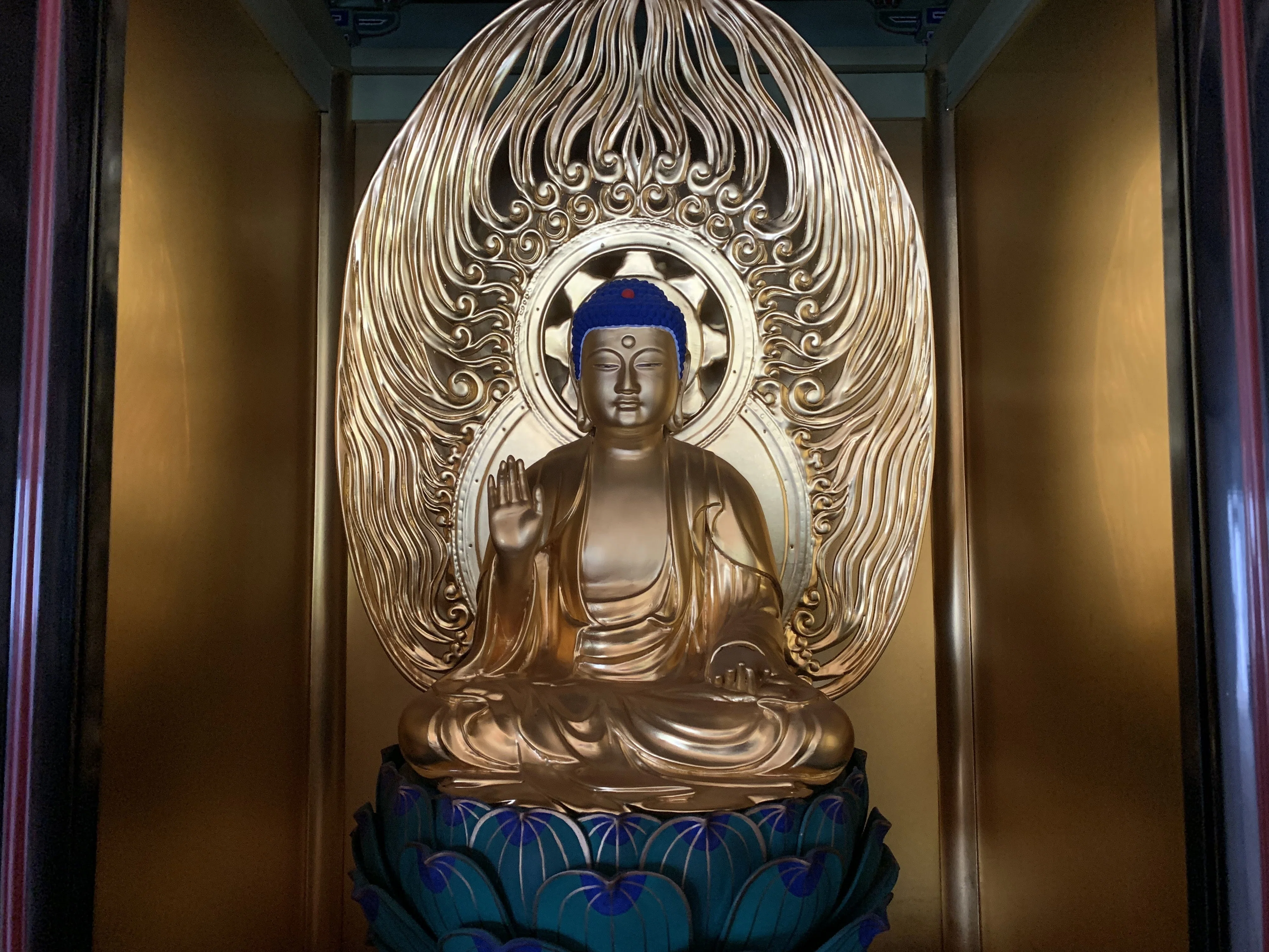初心者が知っておきたい仏像鑑賞の基礎知識！｜阿闍梨 章弘