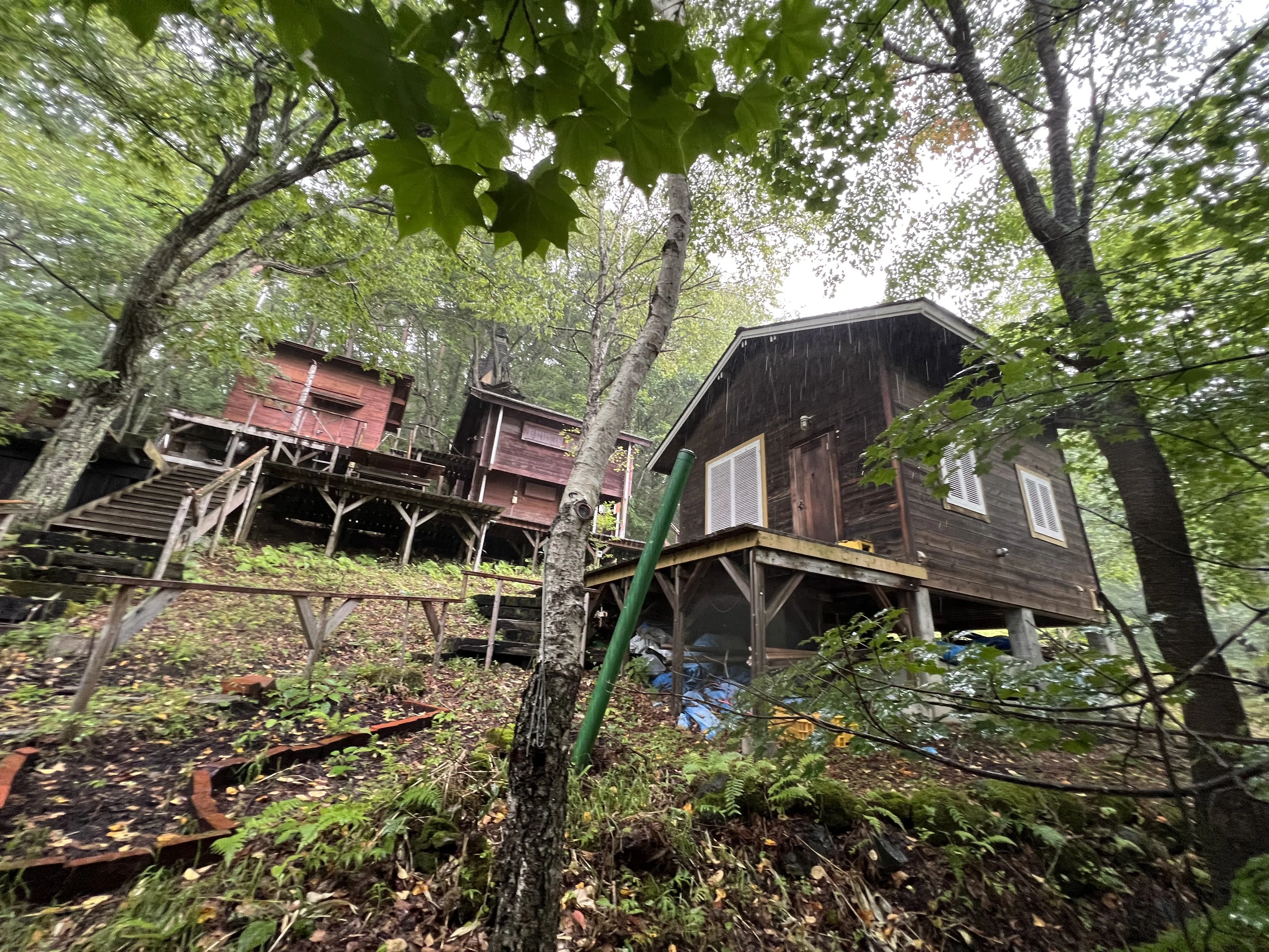 音楽と自然に囲まれた”タニさんの山小屋”｜あさのひ