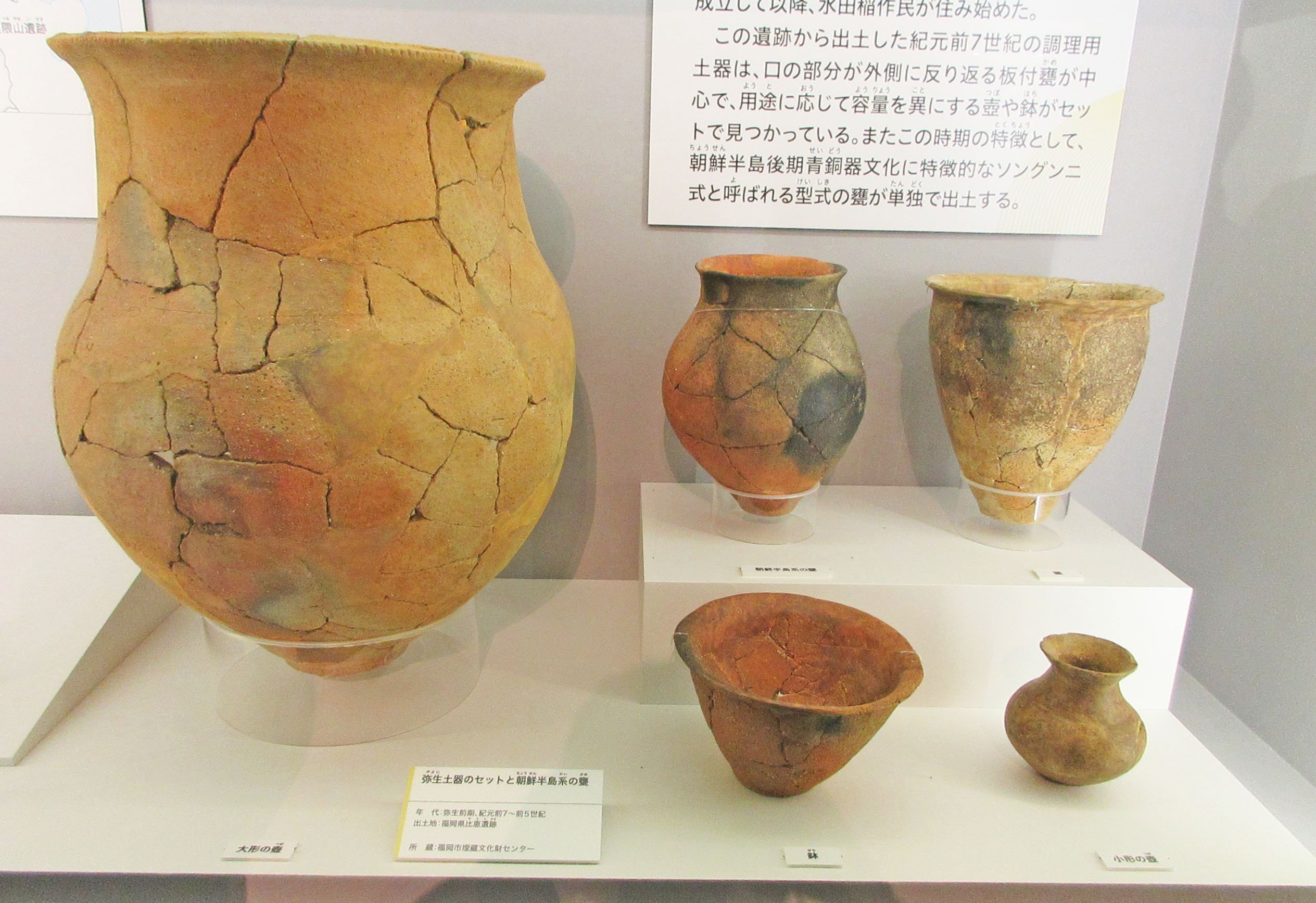 第3章 日本人の源流：特別展「古代DNA－日本人のきた道－」見聞録 その