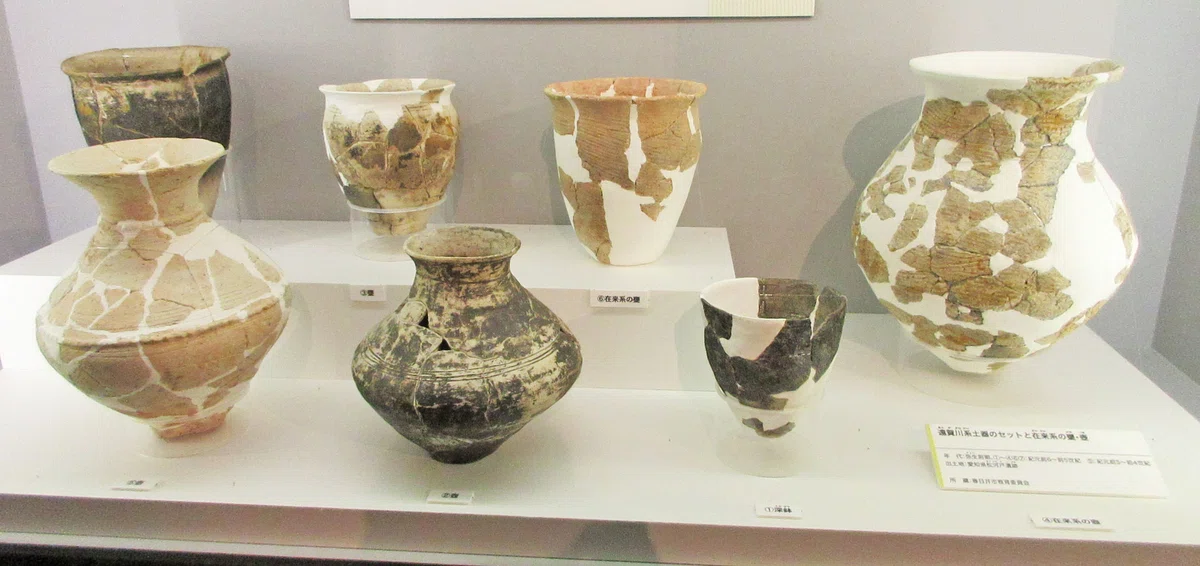 第3章 日本人の源流：特別展「古代DNA－日本人のきた道－」見聞録 その03｜たけっち