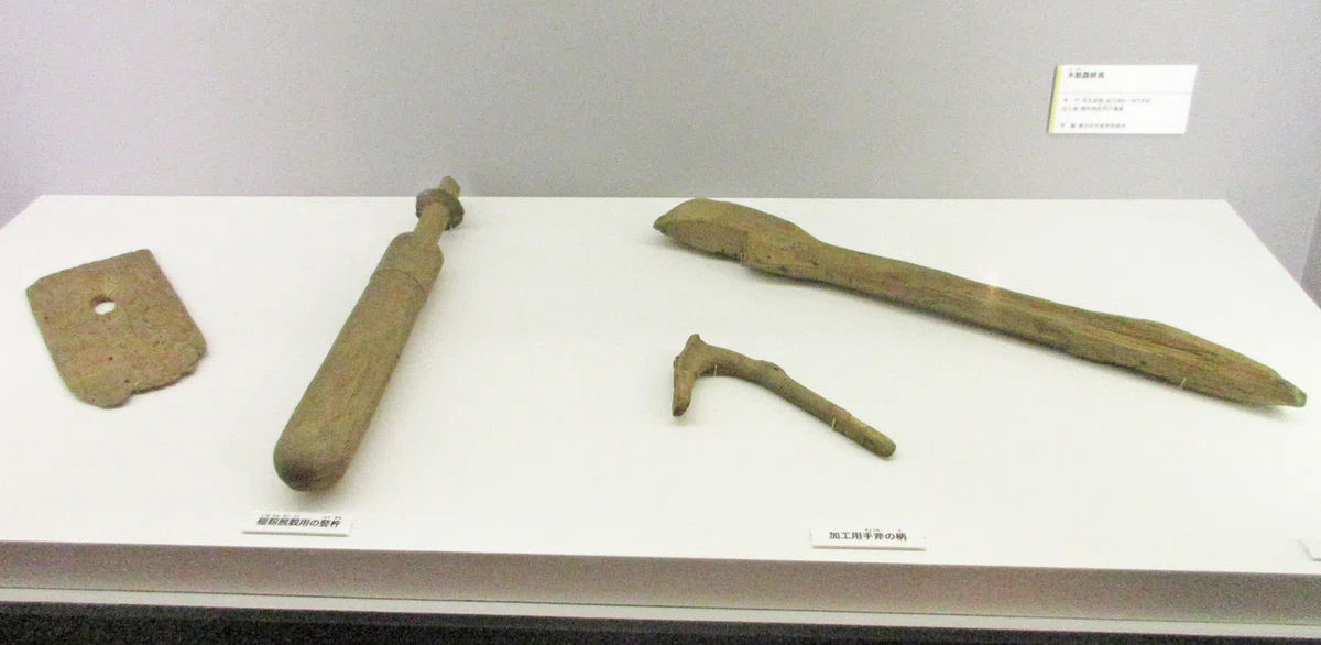 第3章 日本人の源流：特別展「古代DNA－日本人のきた道－」見聞録 その03｜たけっち