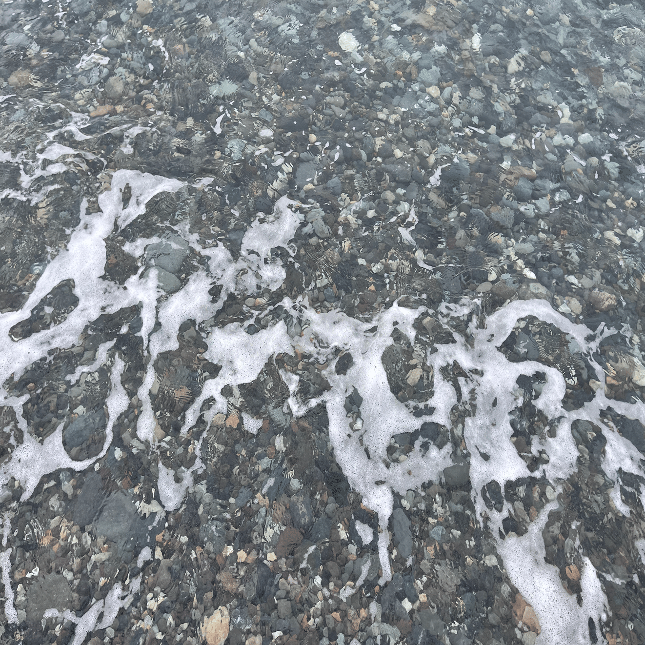 翡翠は翡翠らしくない姿で現れる。キツネ祭りin糸魚川（翡翠を探す旅