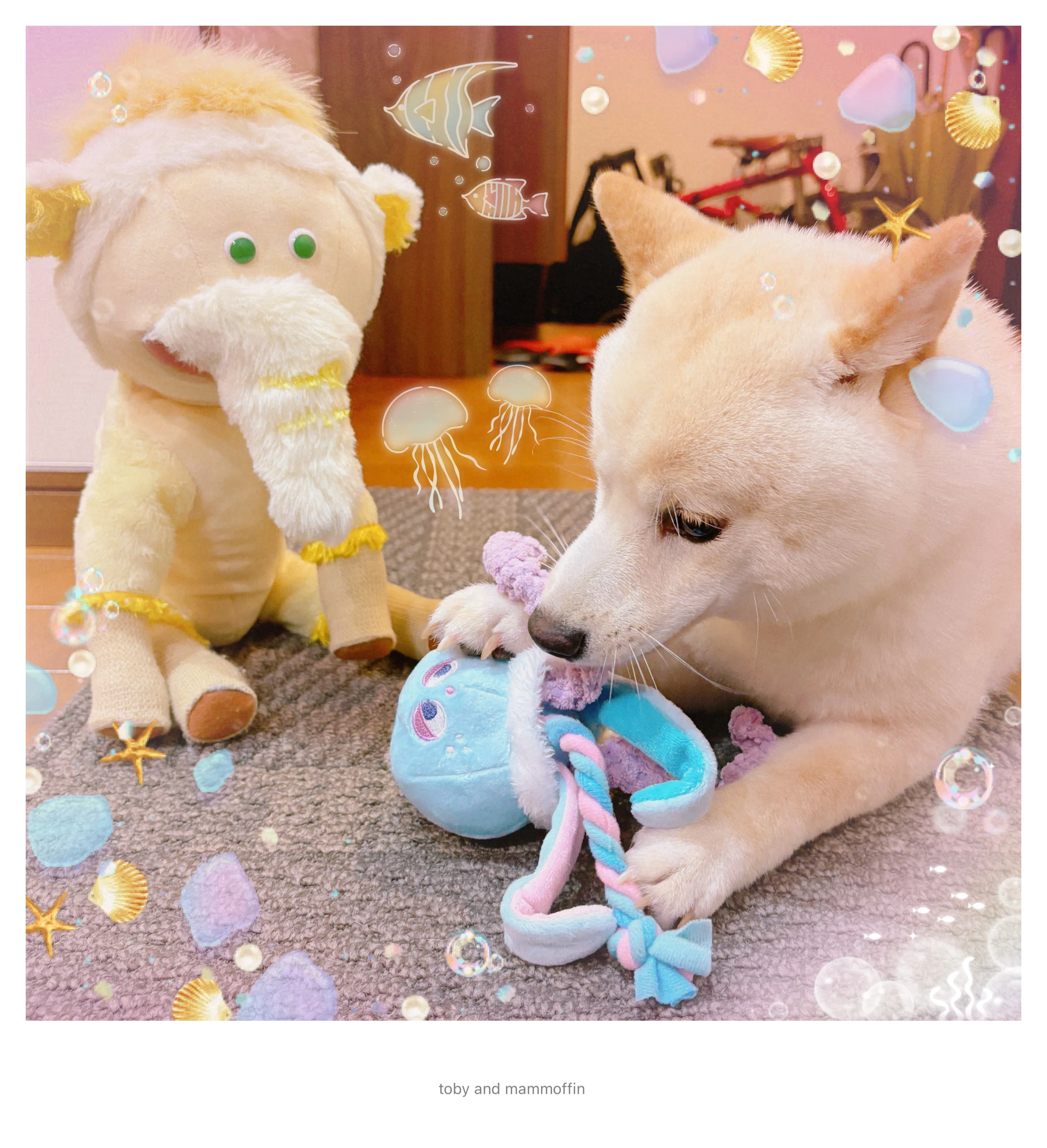 Shiba Inu and Plushie] Toby and Mammoffin (ep9-ep11)｜Joanne R 